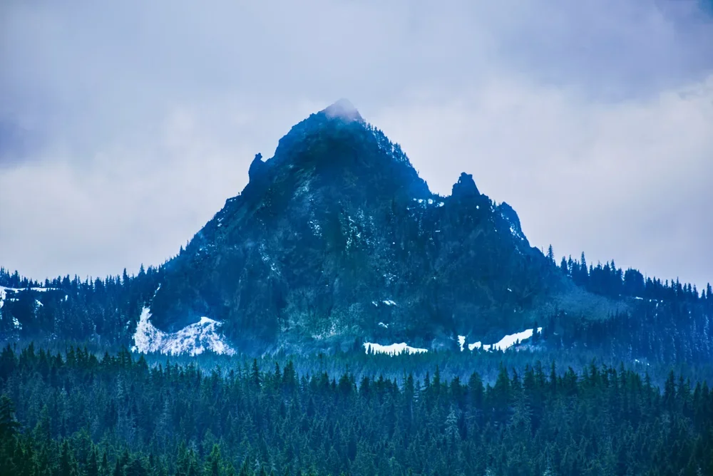 The Three Anchors Every Founder Needs to Stay Steady in the Storm