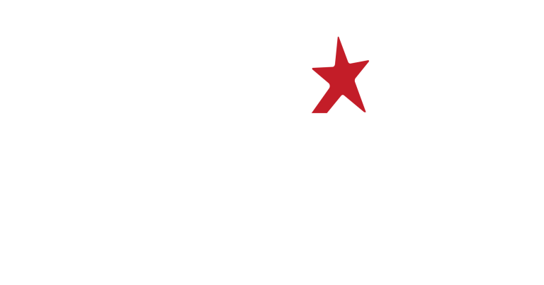 Mary Ann Perkins for Missouri House District 100