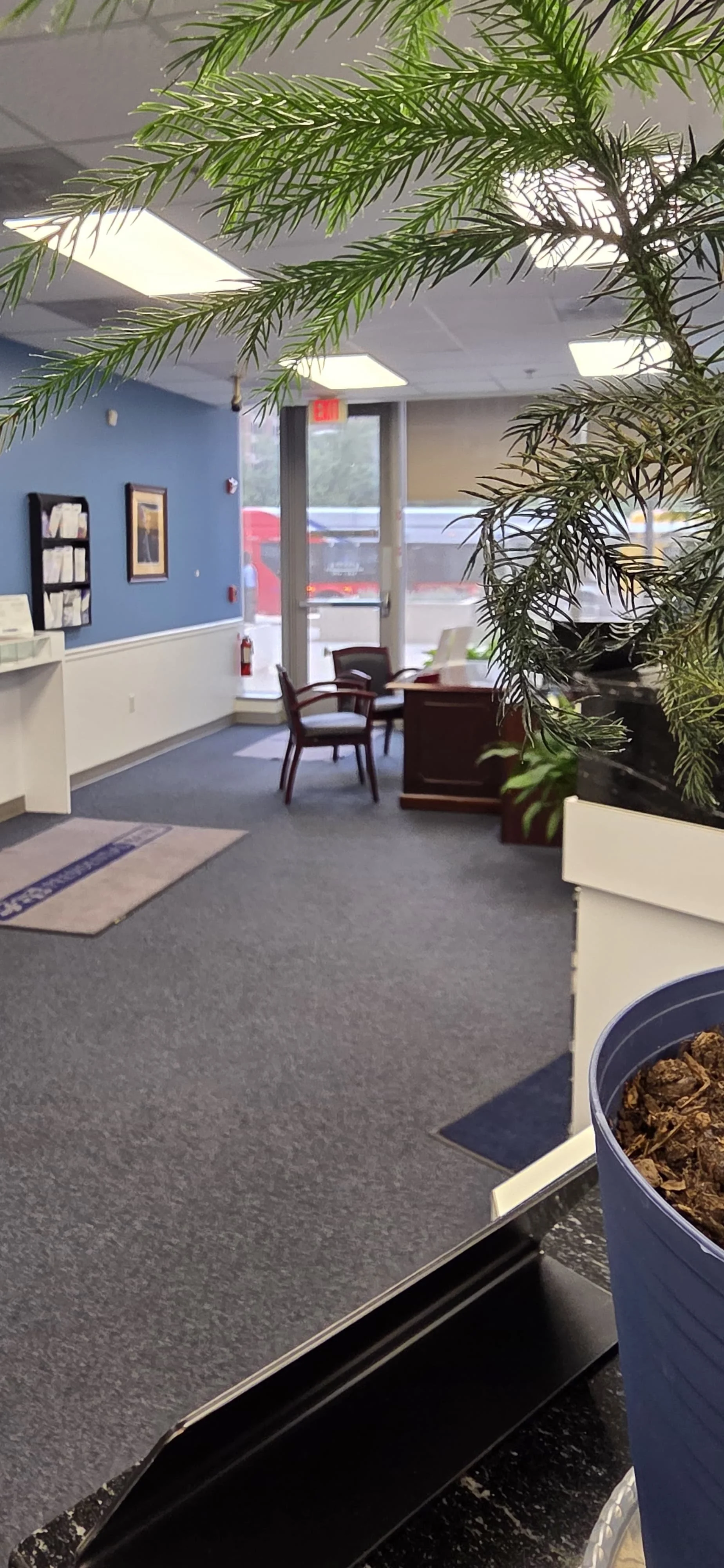Interior of an office or waiting area with chairs and a desk near large windows, a potted plant in the foreground, blue walls with framed pictures, and a fire extinguisher on the wall.