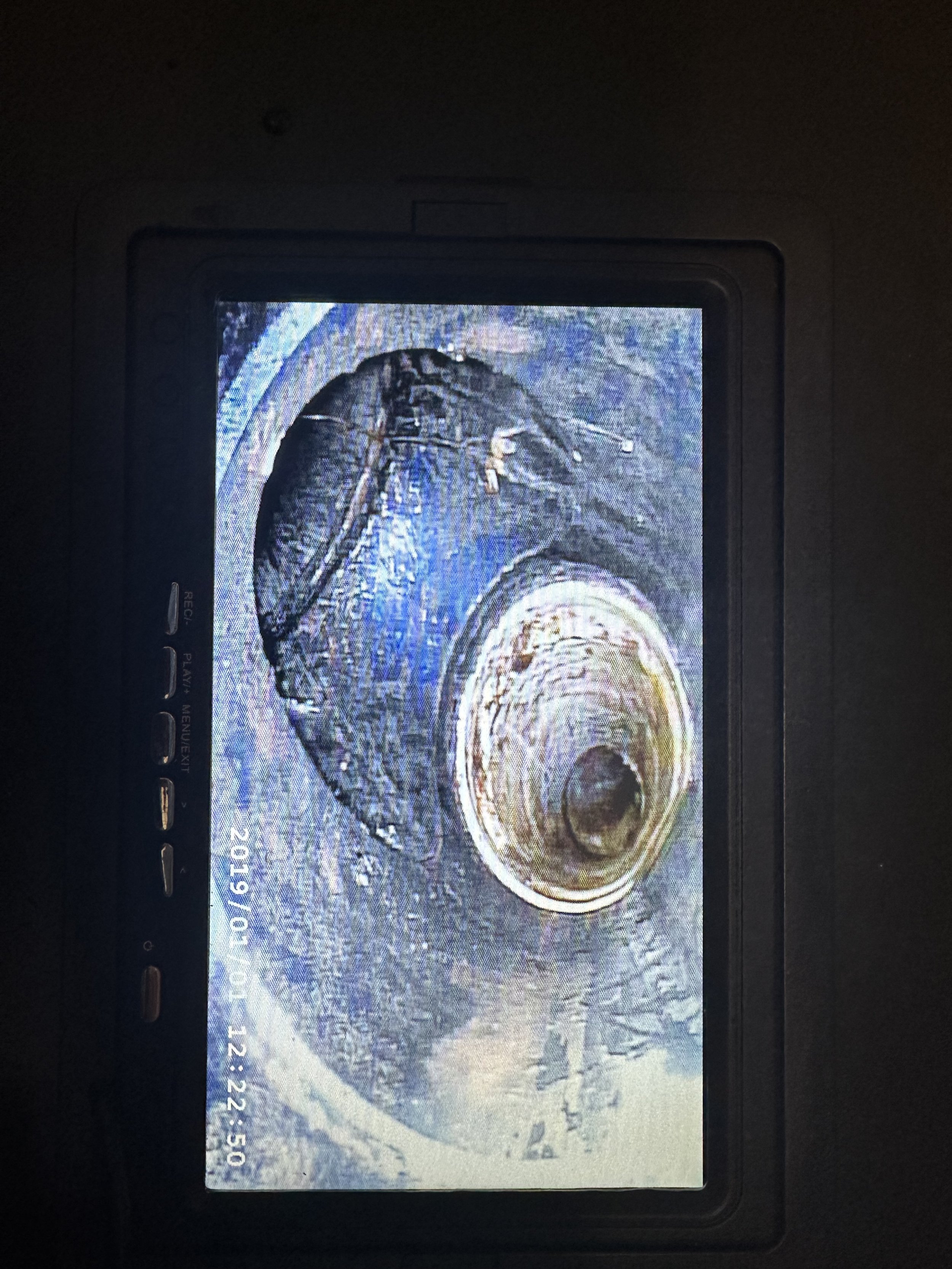 IMG_2091.jpeg