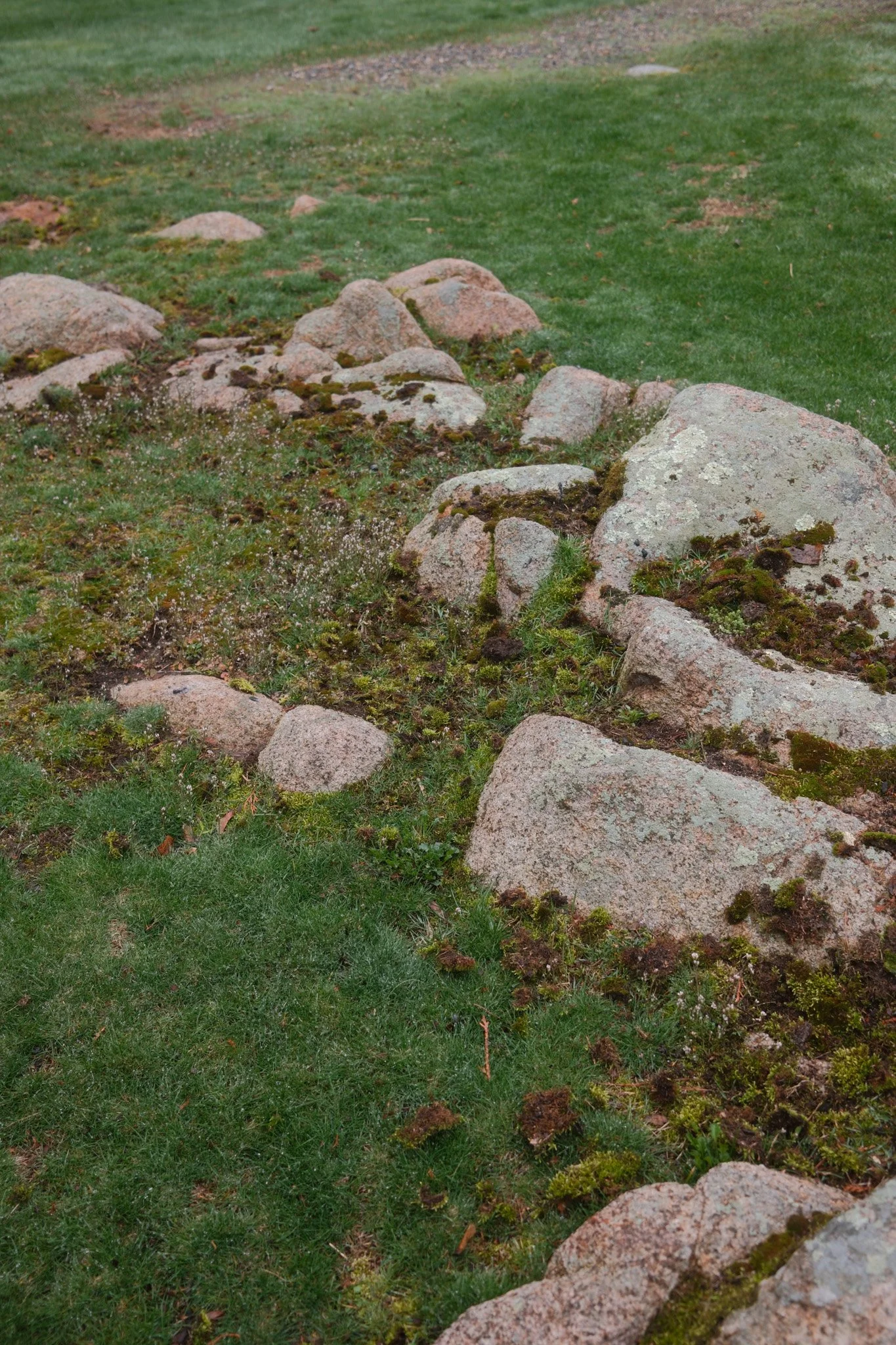 Stones and grass in garden