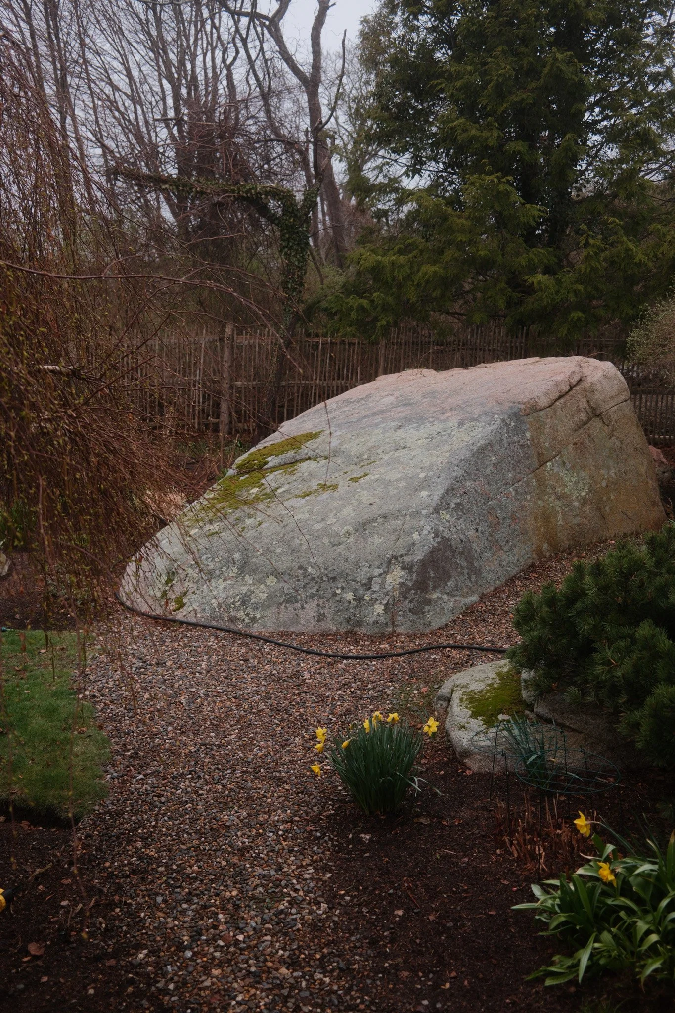 Large boulder in yard