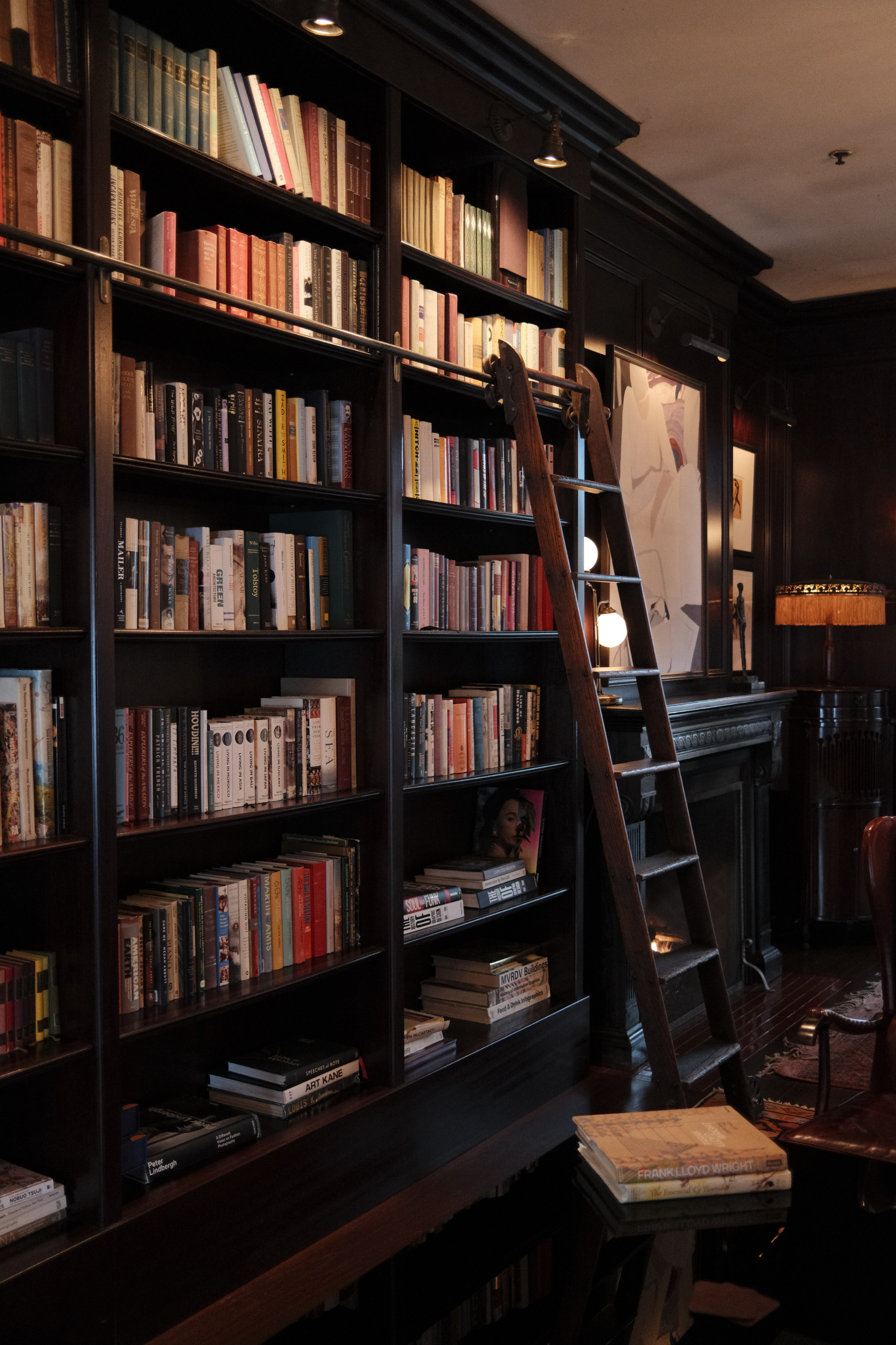 Library bookshelves with ladder
