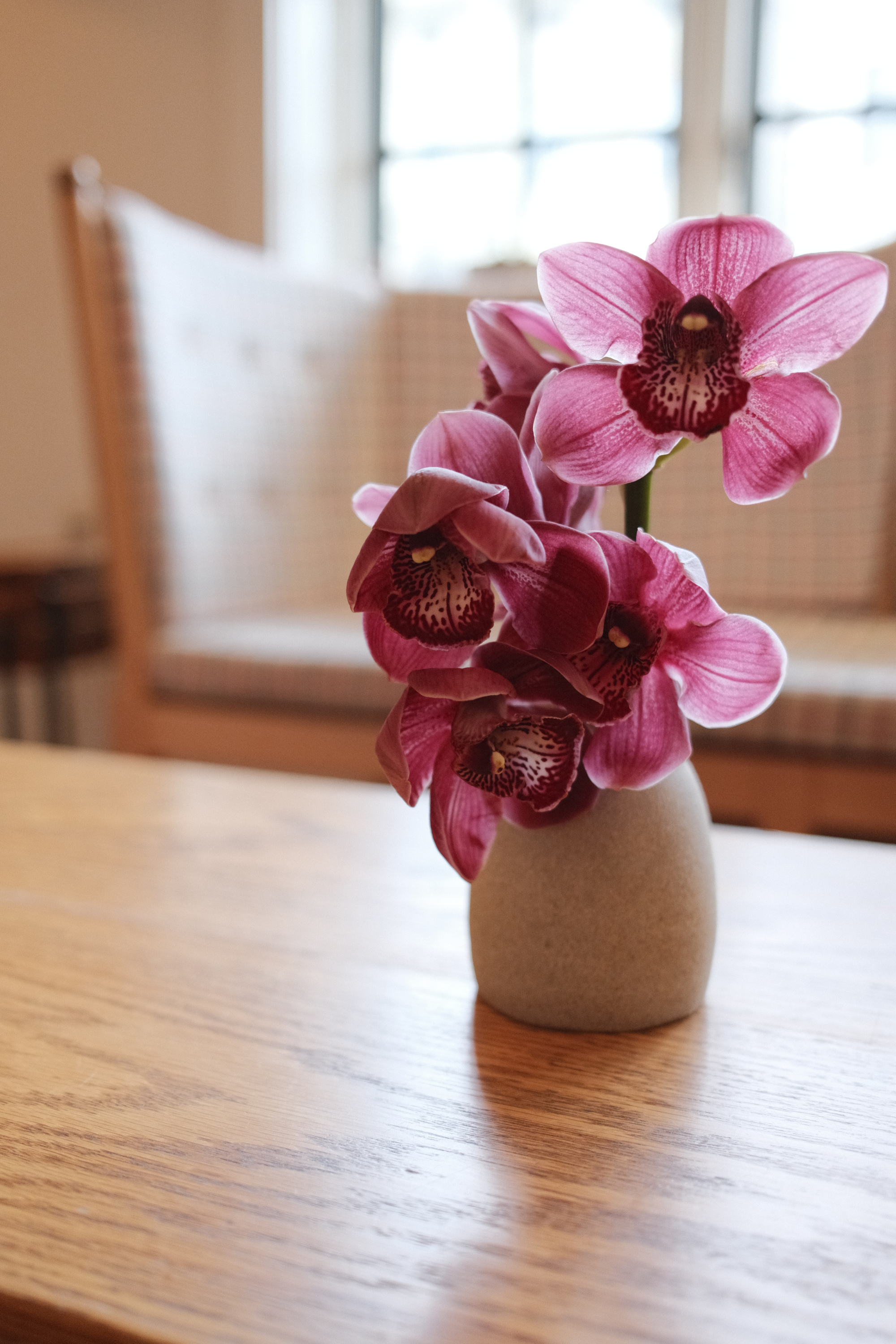 Purple flowers in the lobby