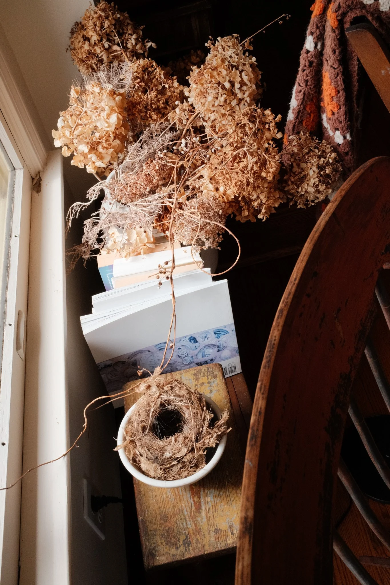 Bird's nest and dried flowers