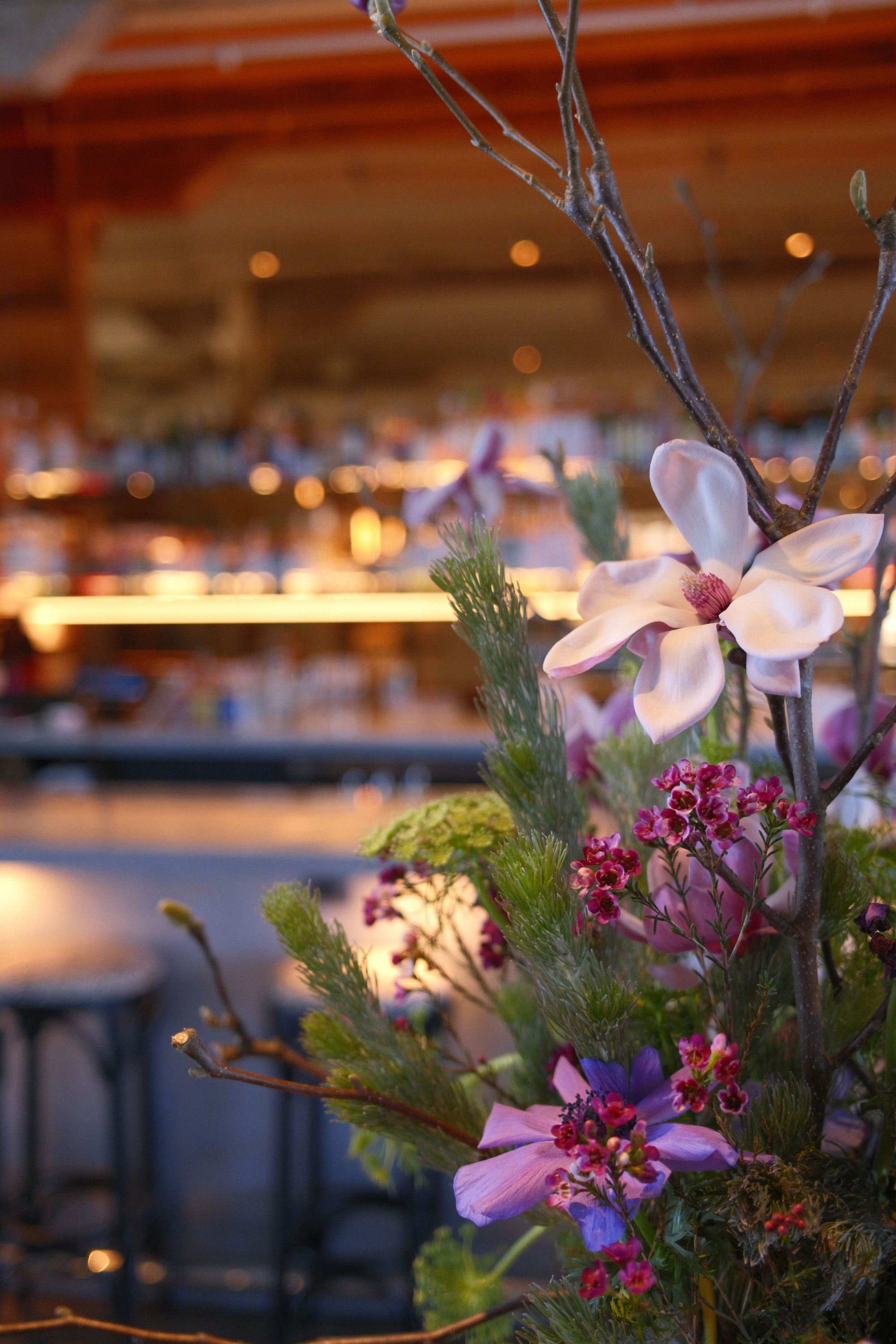 Pink and purple flowers at Ambos bar