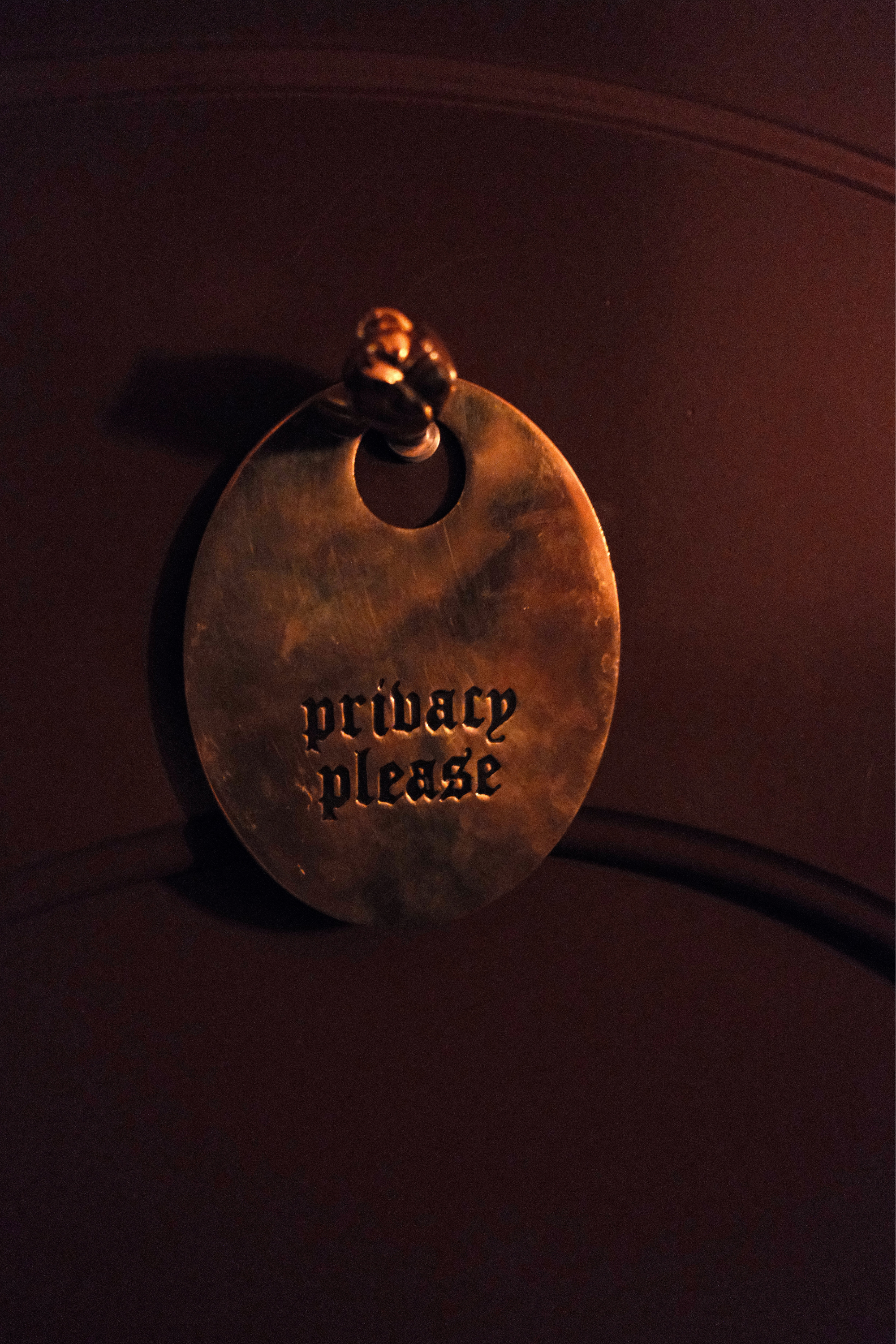 Privacy Please door hanger