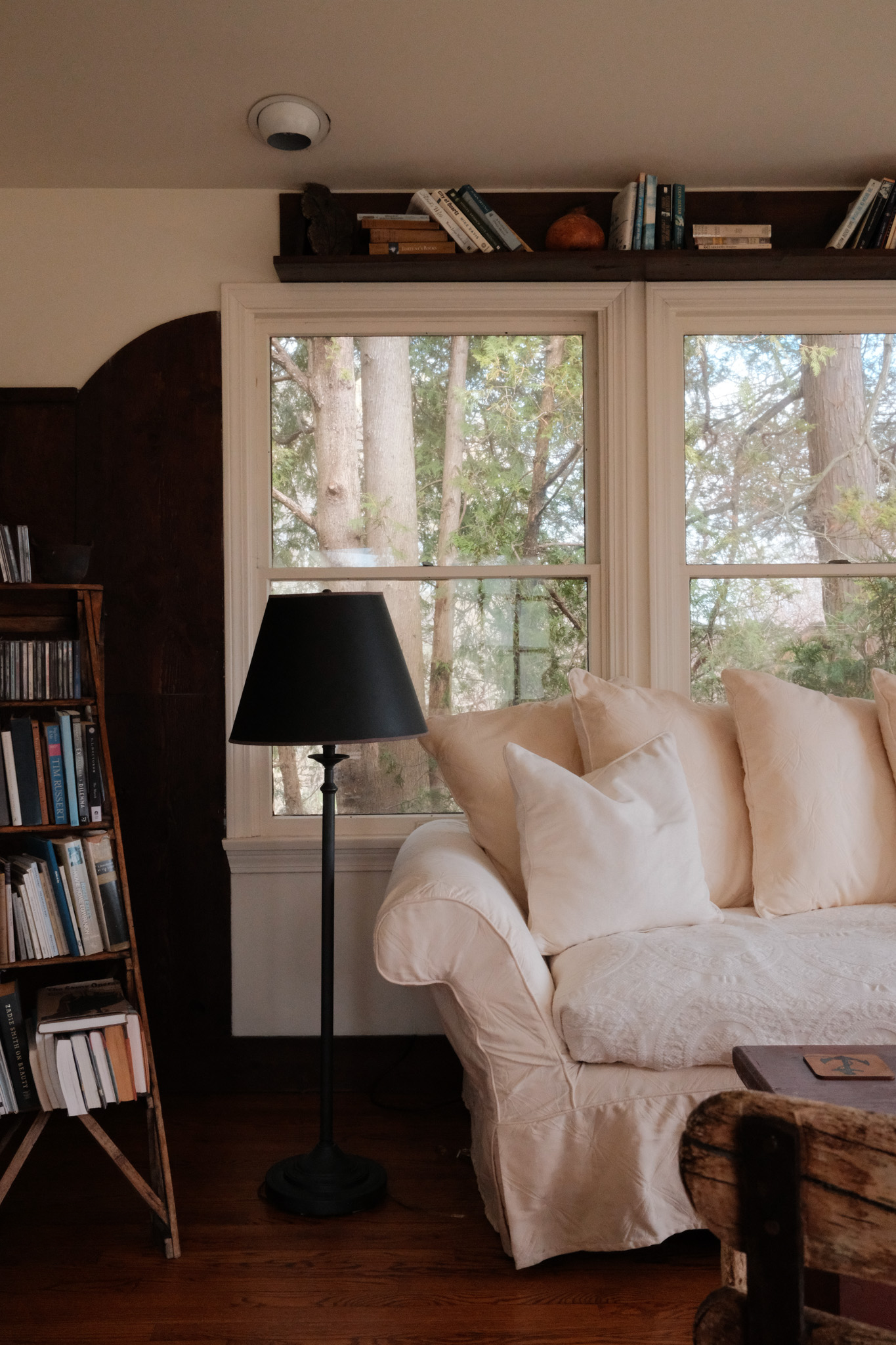 Living room couch and books