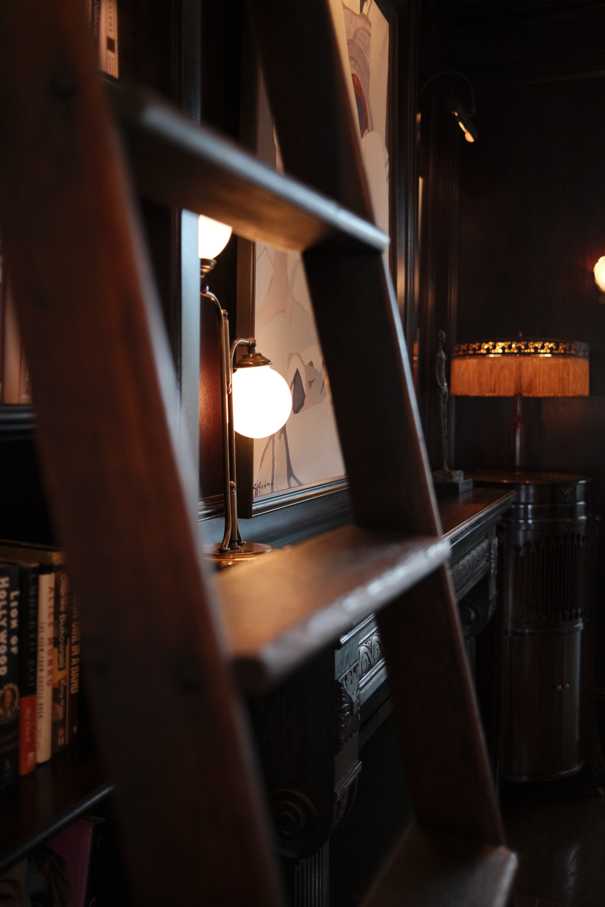 Lamp through ladder prongs