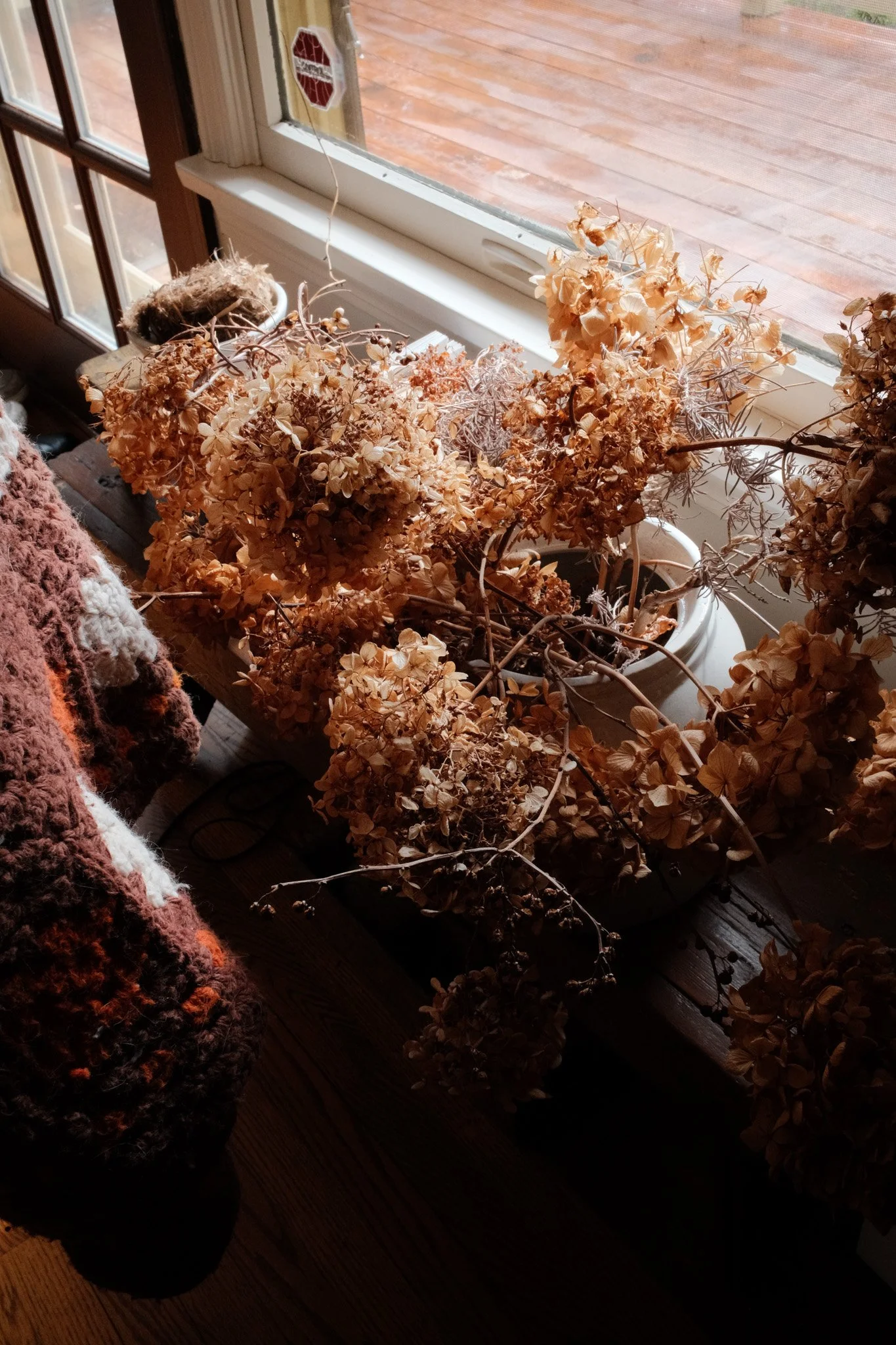 Dried flowers