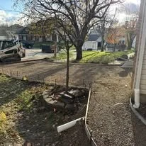 A small tree planted in a yard with a wooden bench and a fallen leaf nearby. Cars are parked along the street, and a house is visible in the background.