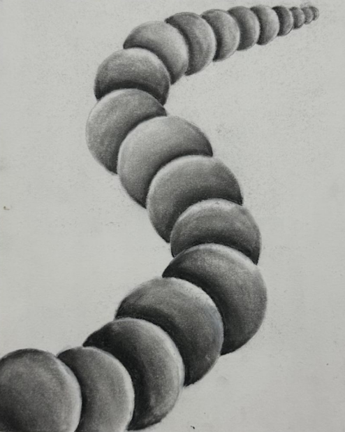 Screenshot 2026-04-07 165146.png