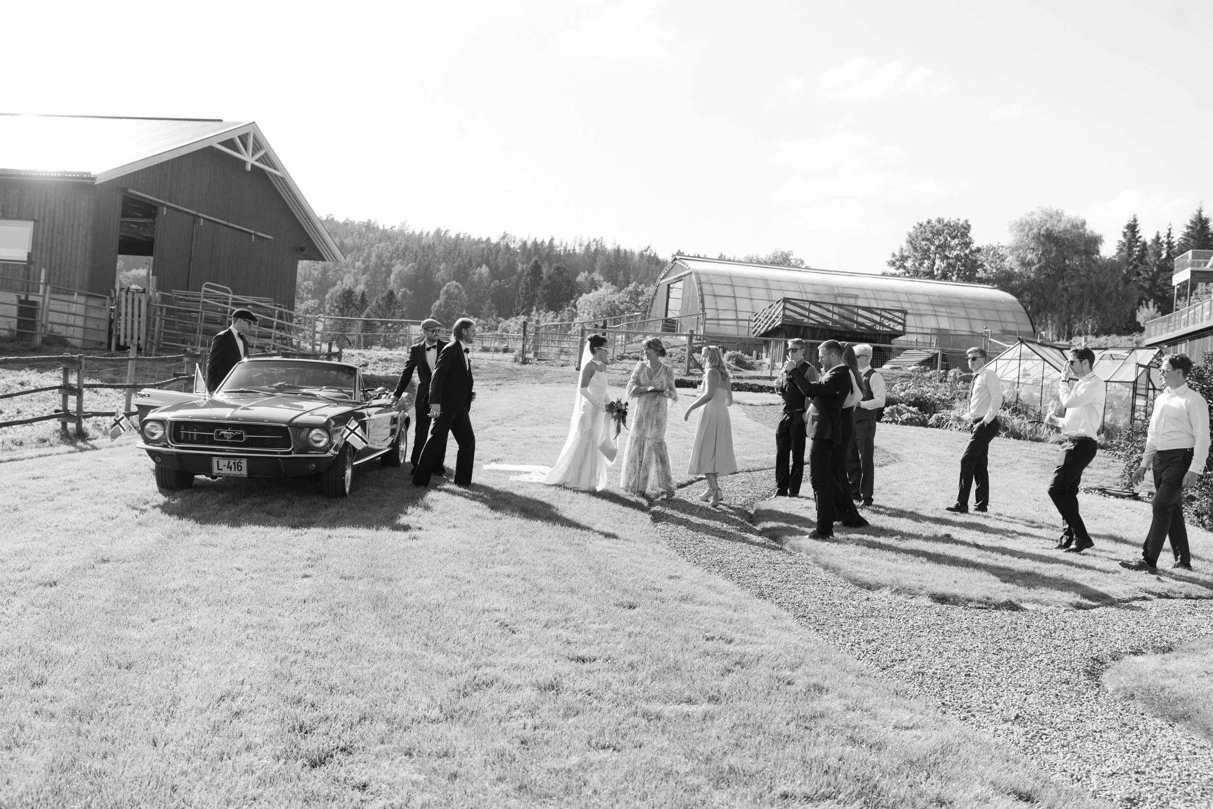 LeiknyHavik-HenrikAnna-Bryllup-233.JPG