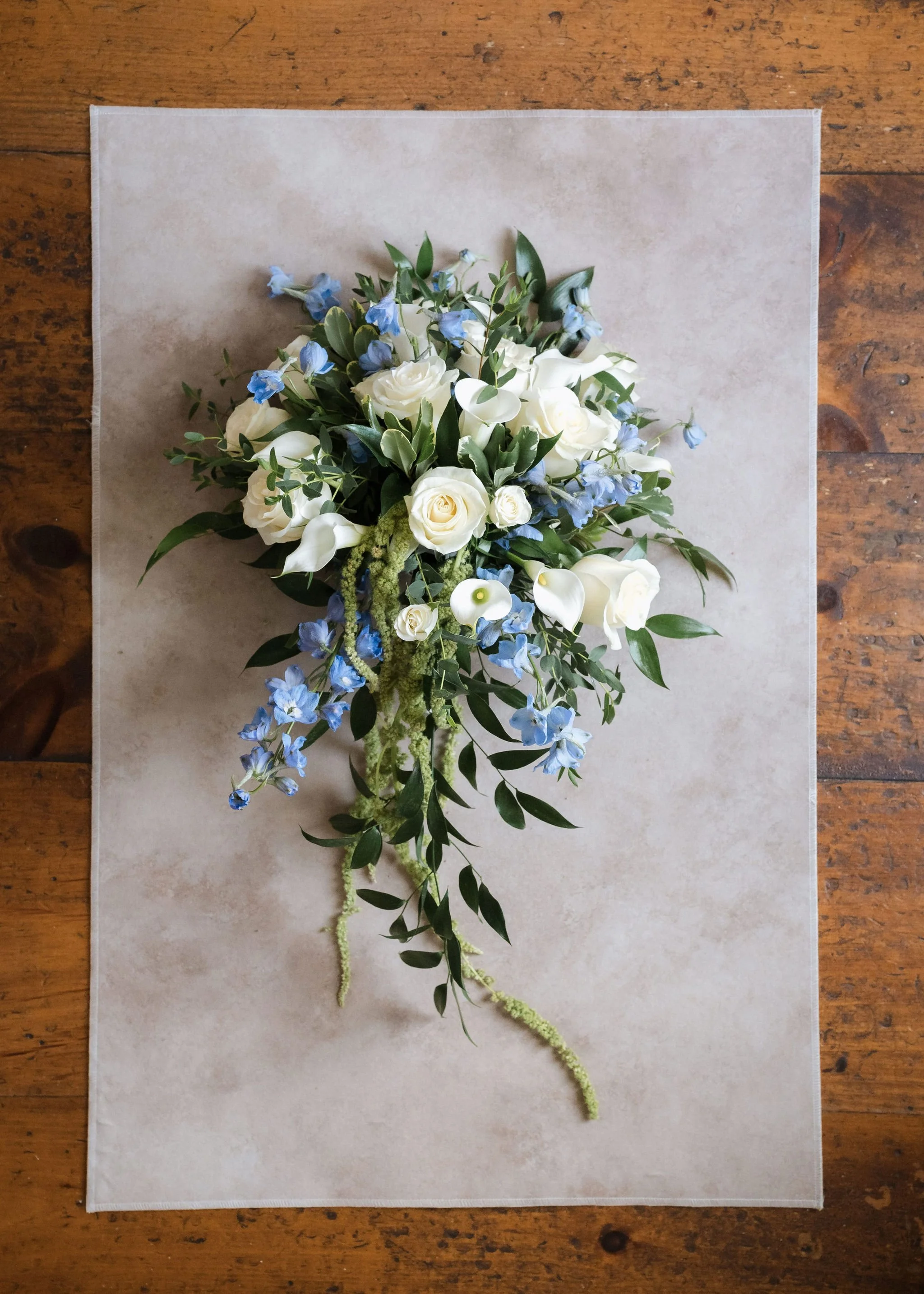 Dina+Nick-06.26.26-Previews-BryanWeberPhoto-7.jpg
