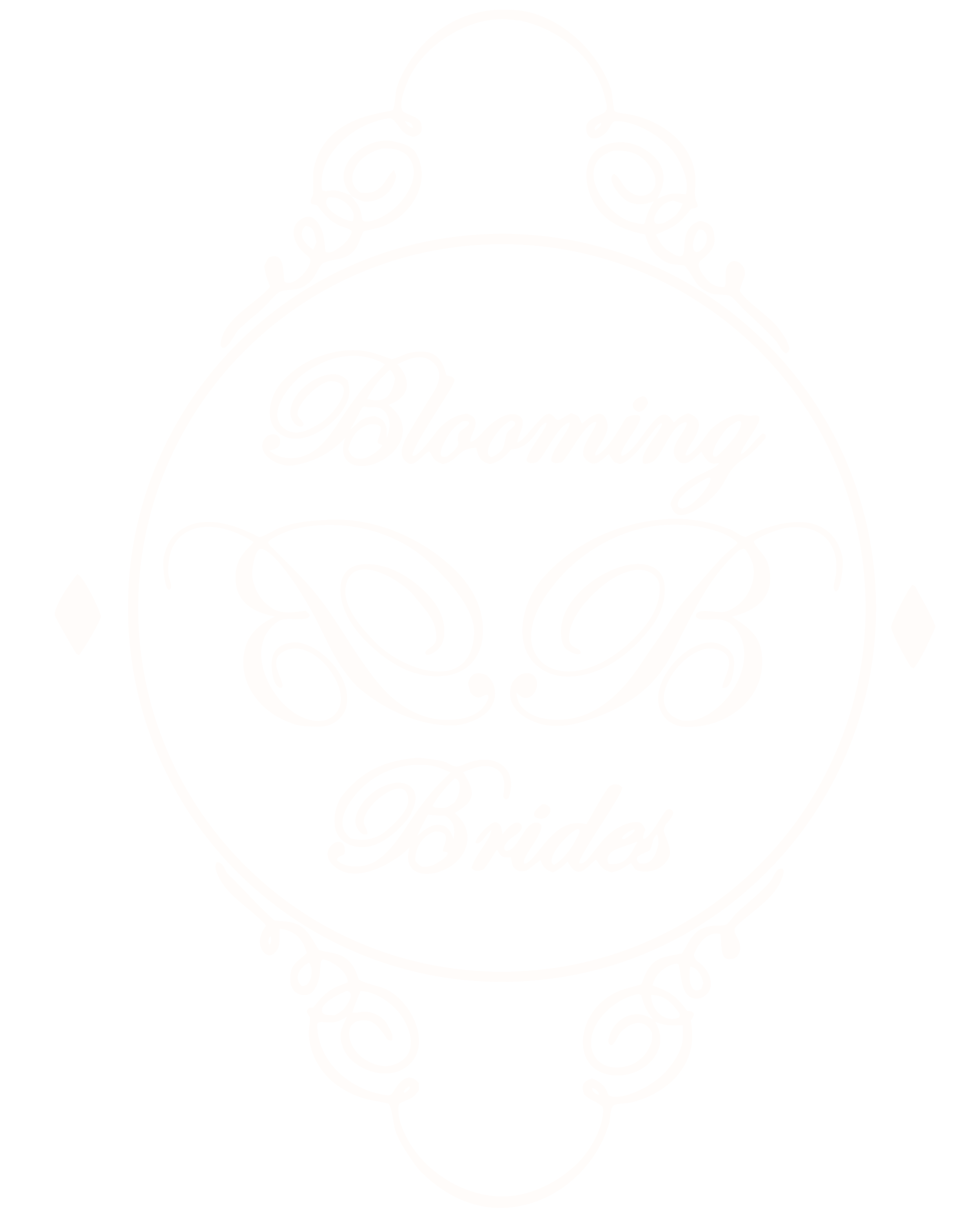 White outline design with the words "Bling" and "Brides" on a black background.