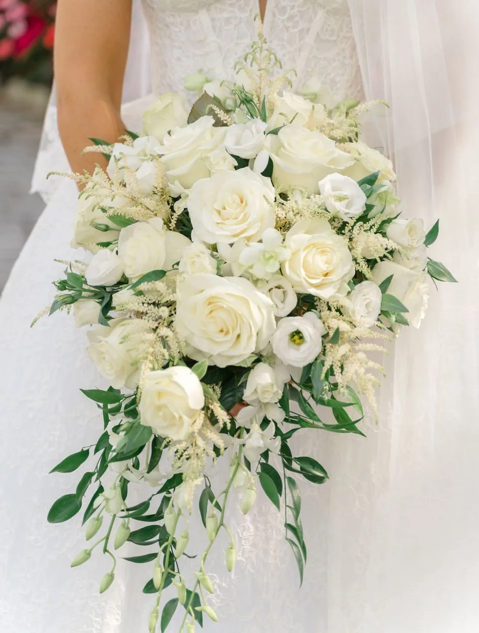 A bride holding a cascading bouquet of white roses, lisianthus, and greenery.