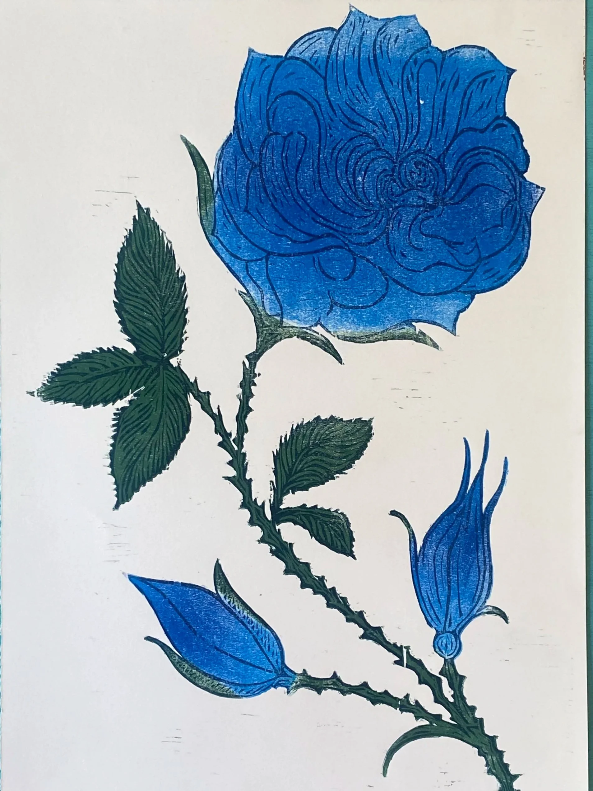 7.++Rose++Silvestre+Azul+_4790.jpg