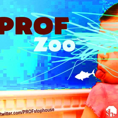 Zoo_1600x1600.webp