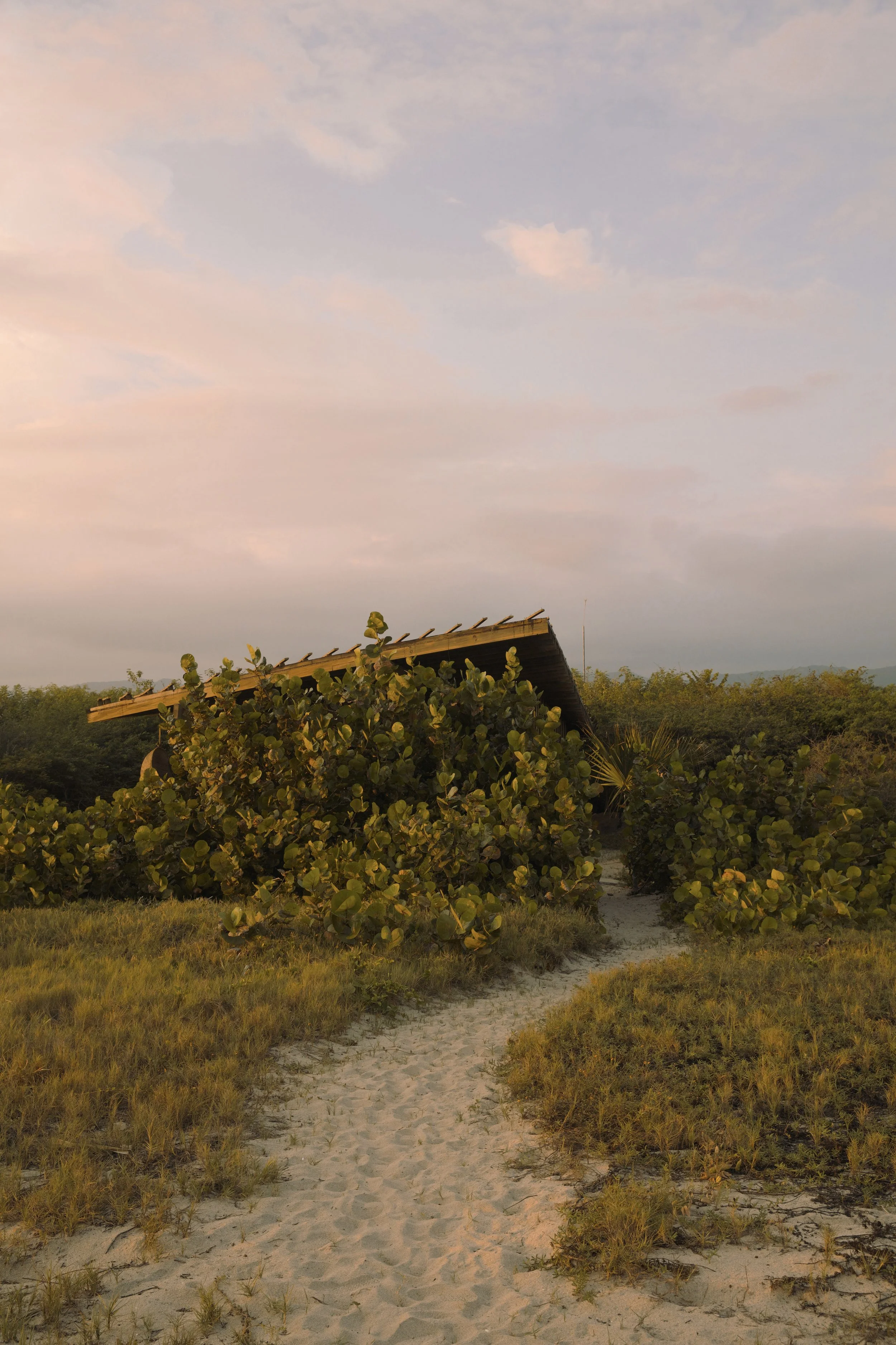 4M5A2198 Photofield 2.jpg