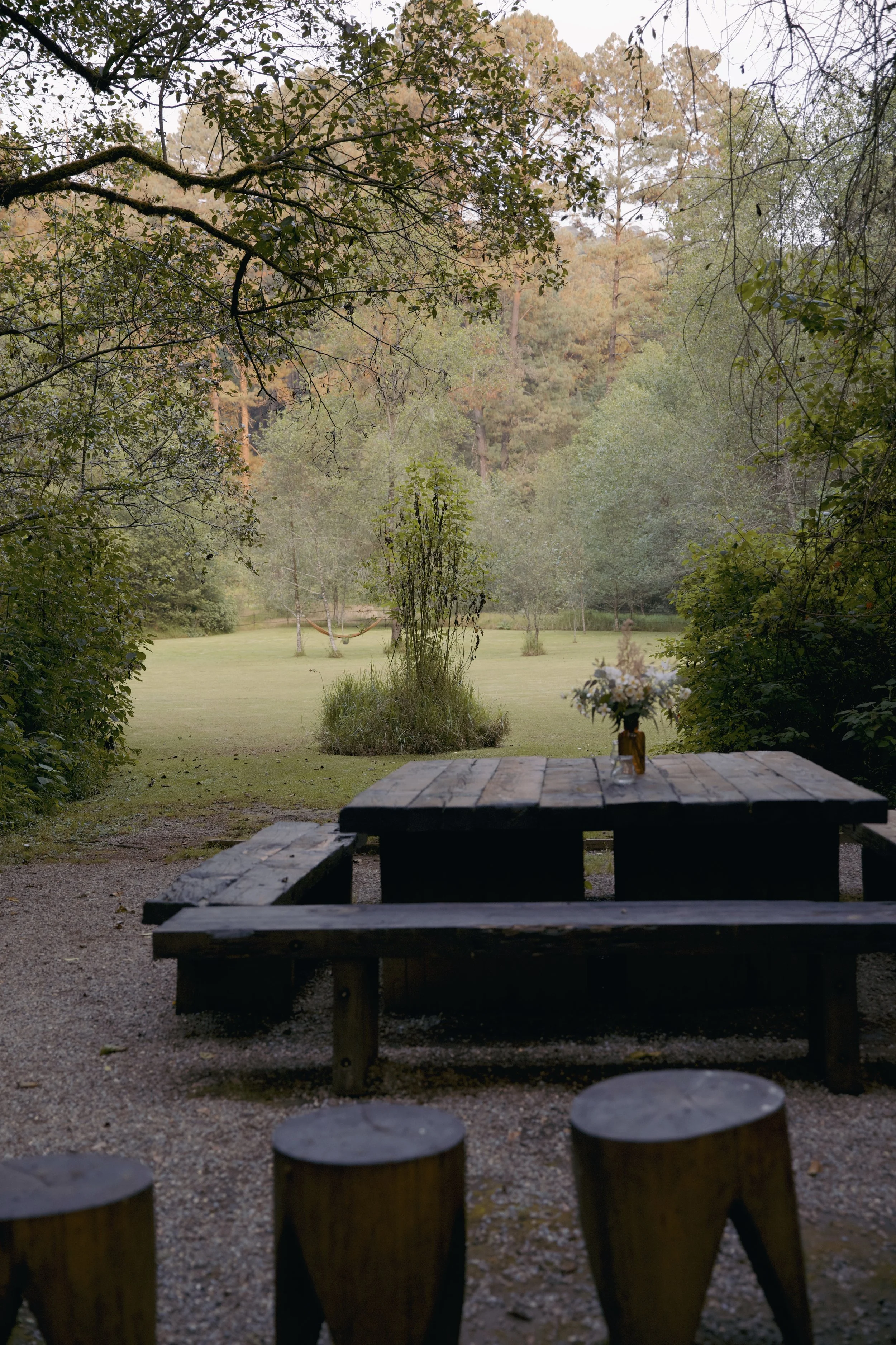 4M5A6791 Photofield.jpg