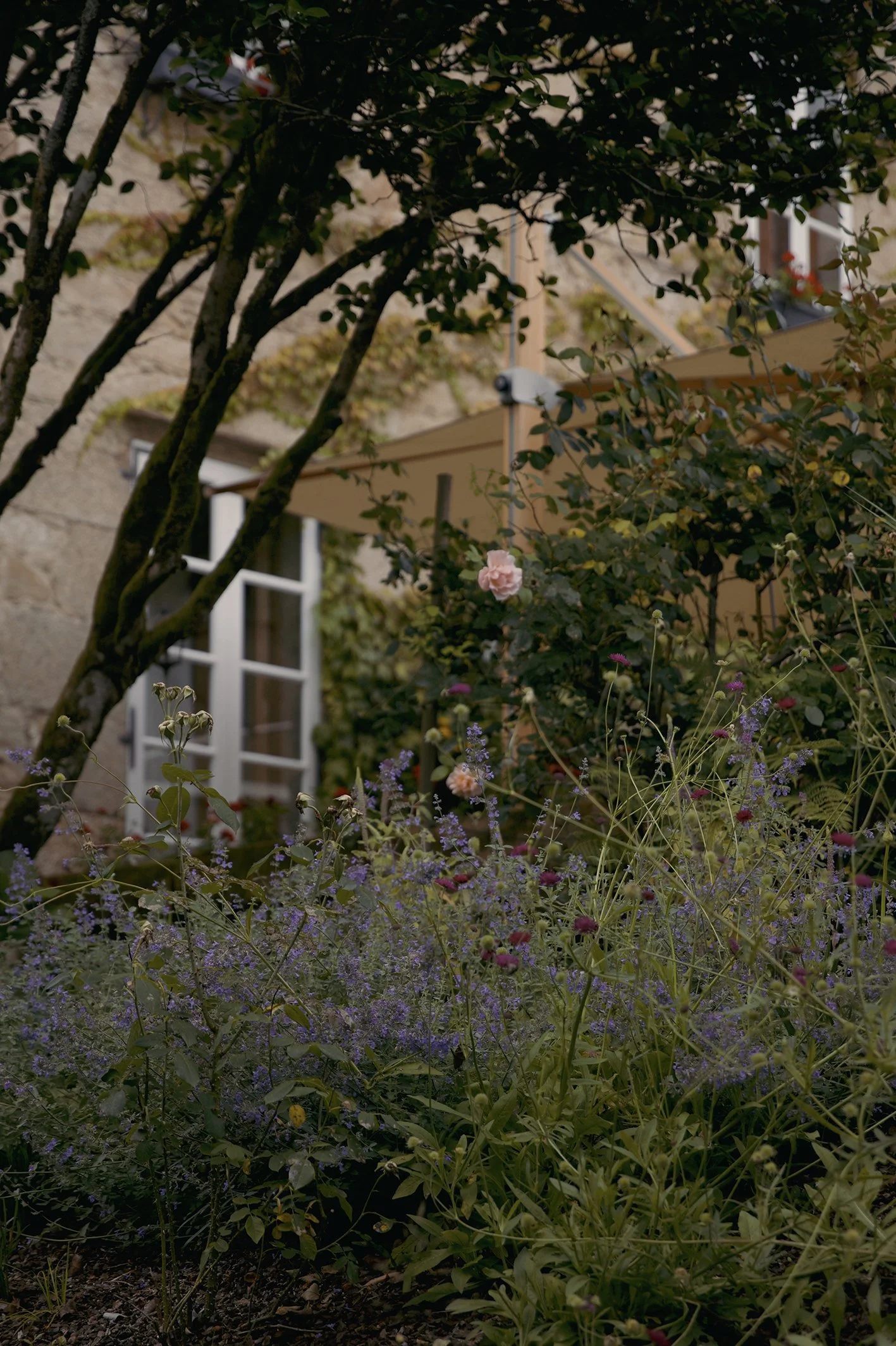 4M5A4315 Photofield 2.jpg