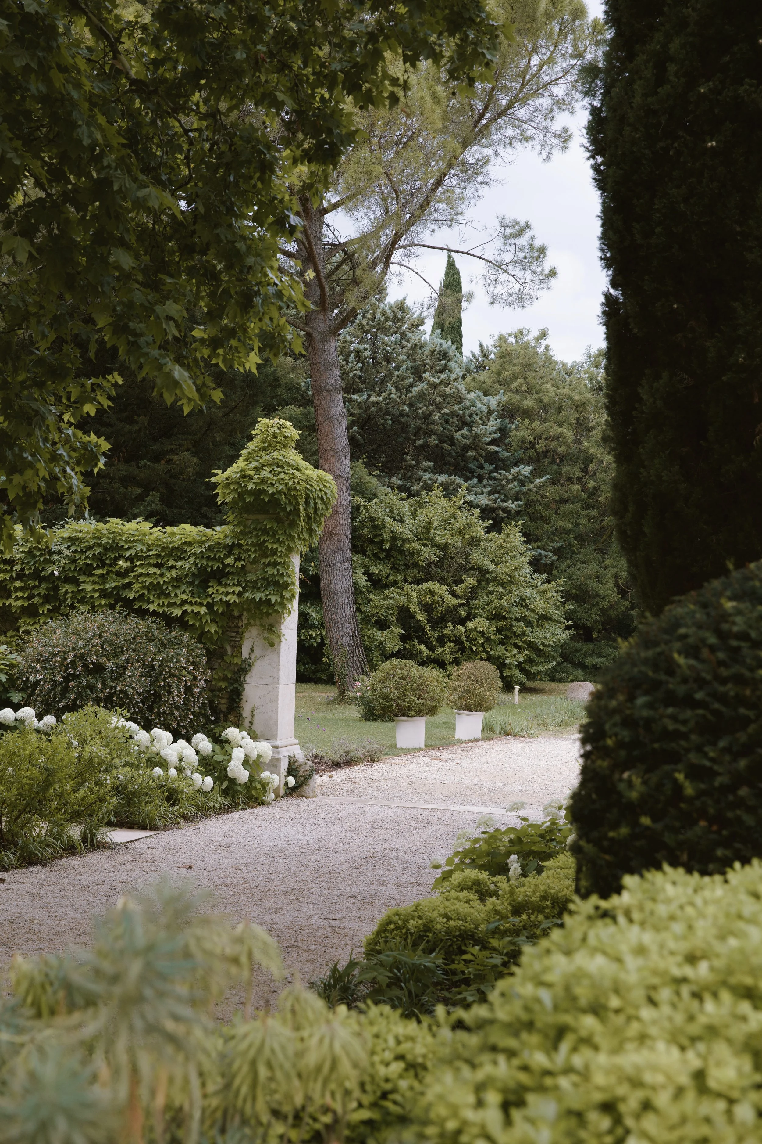 4M5A7293 - 4M5A6581.jpg