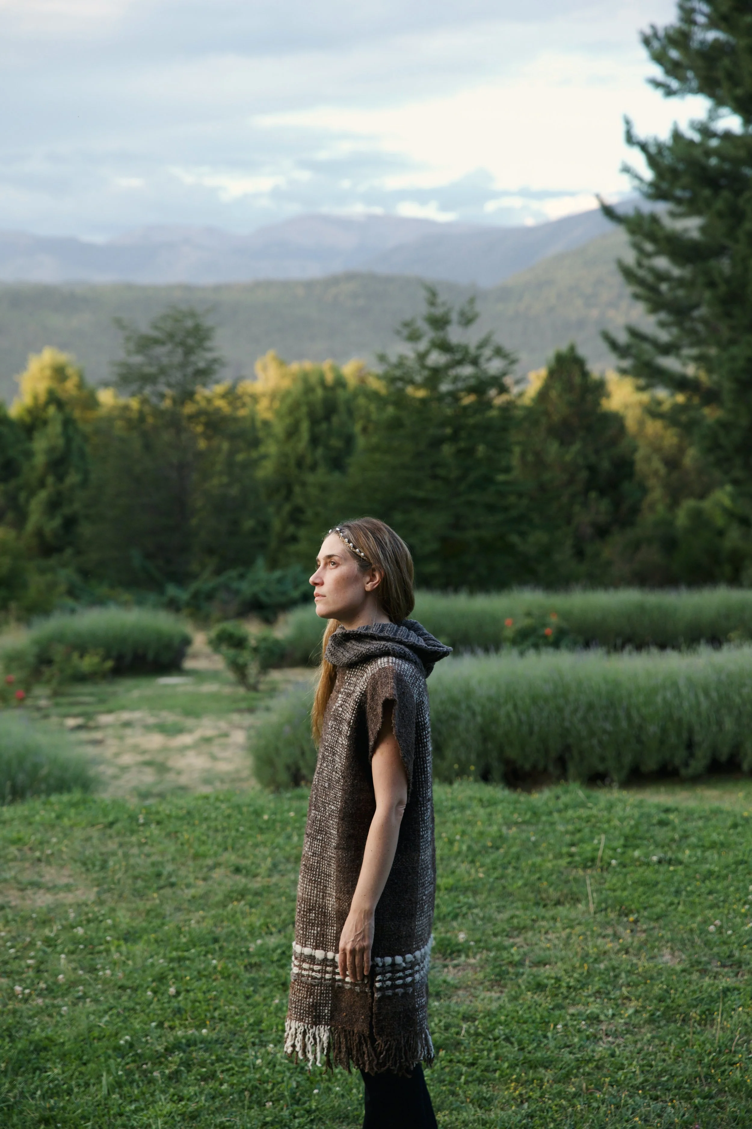 4M5A3727_VSCO Photofield.JPG