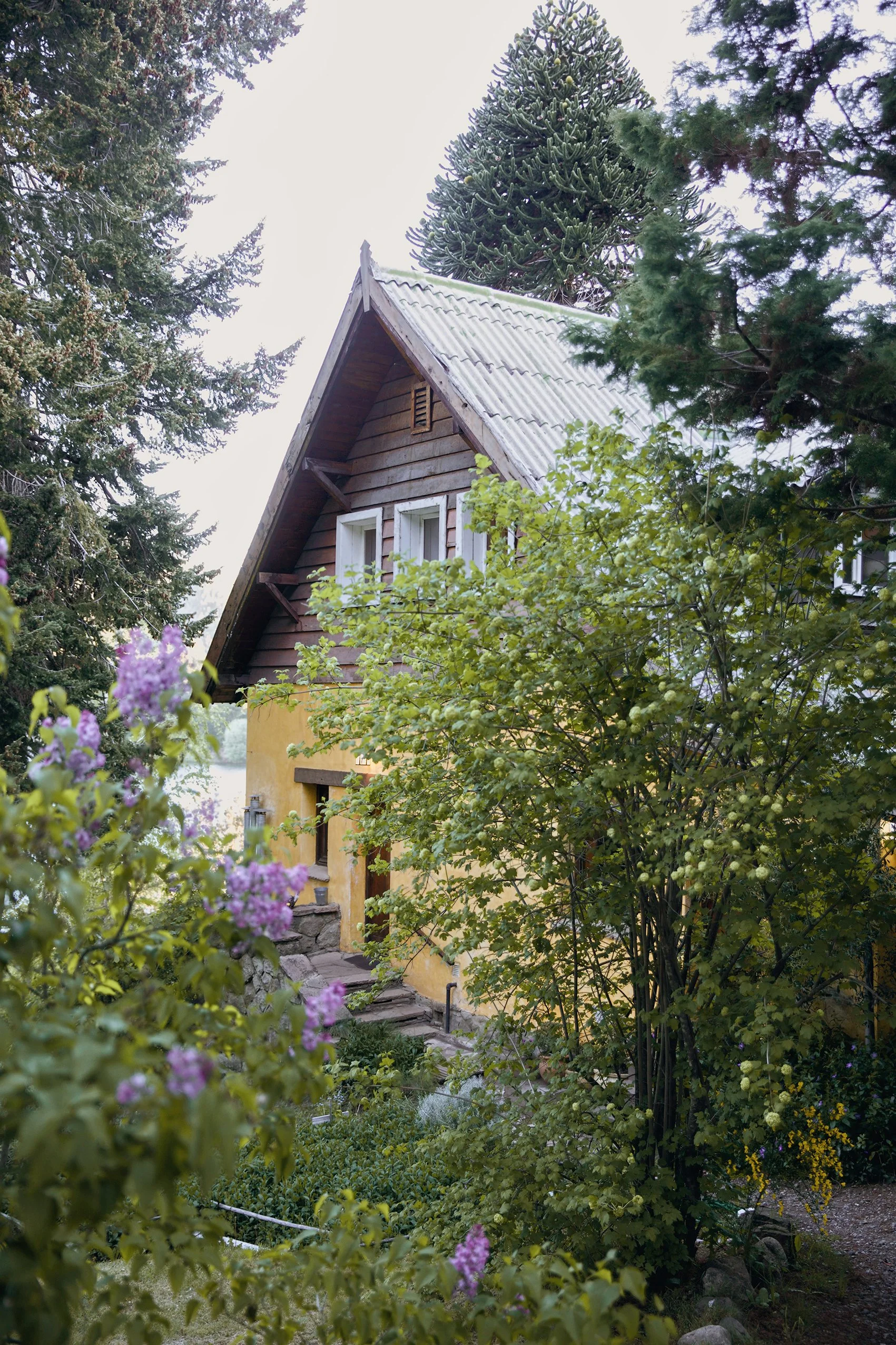 989B5FD5-EED2-4620-8F25-B196C4B1FAB5 2.jpg