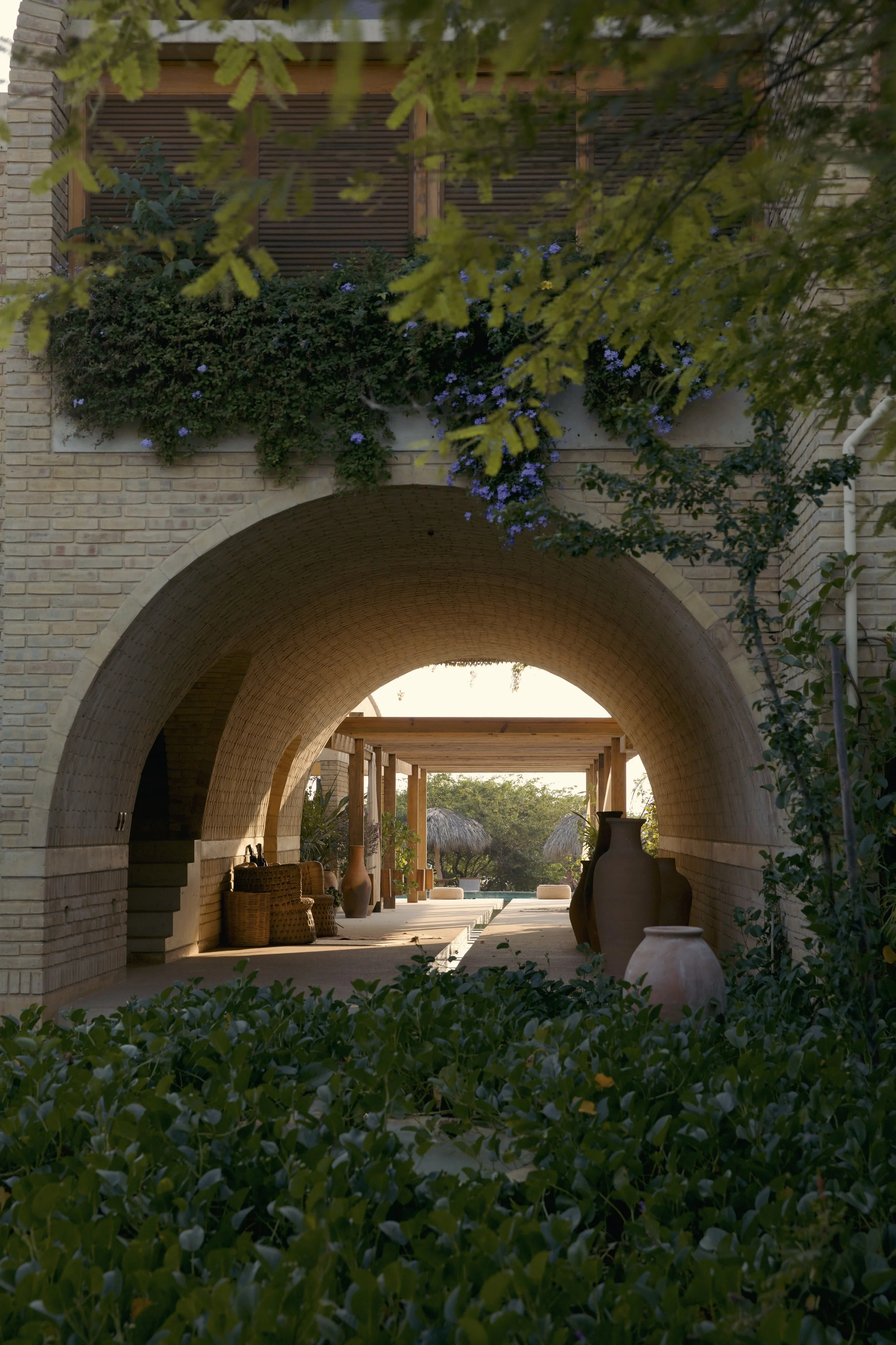 4M5A6350 Photofield.jpg