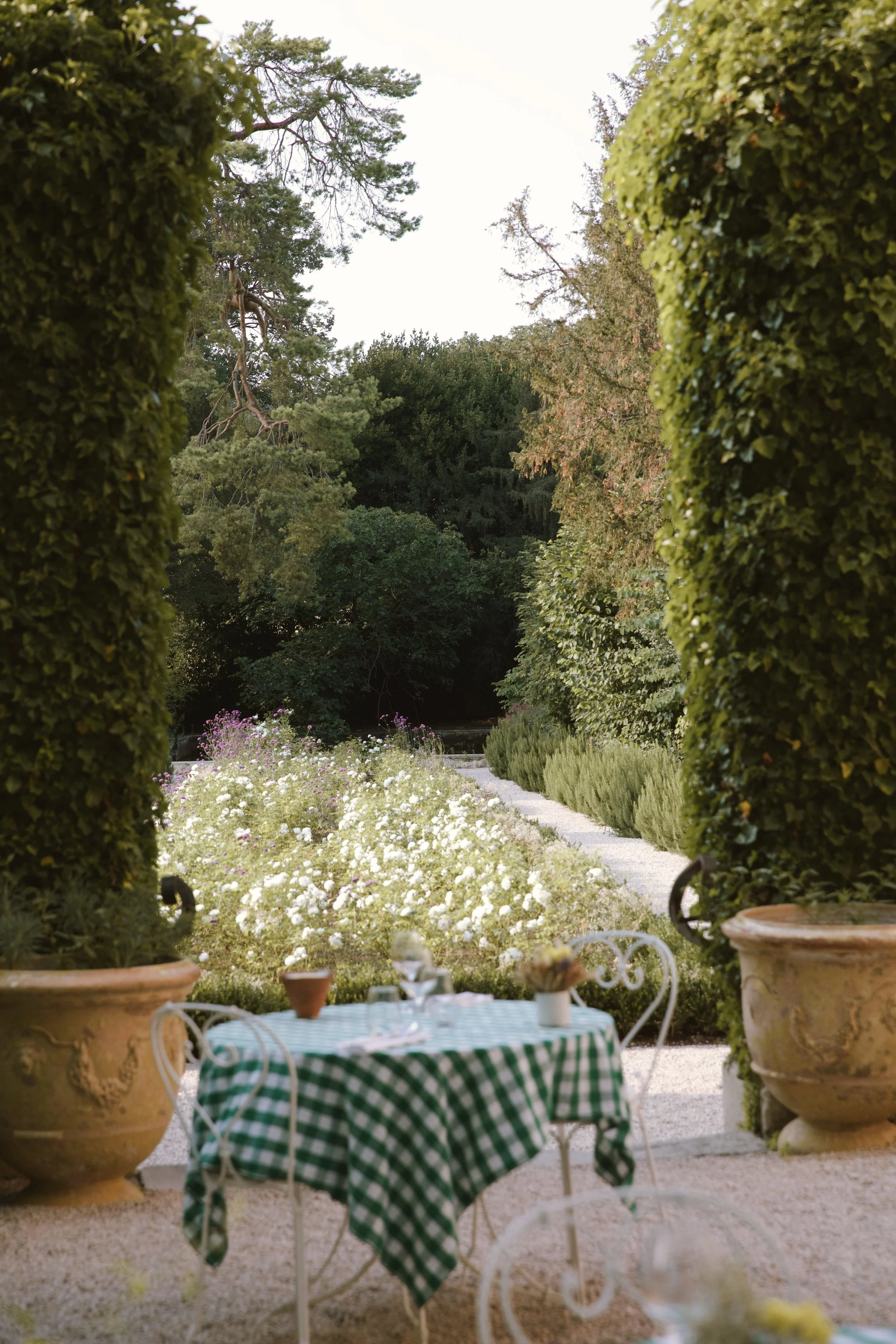 4M5A6584 Photofield.jpg