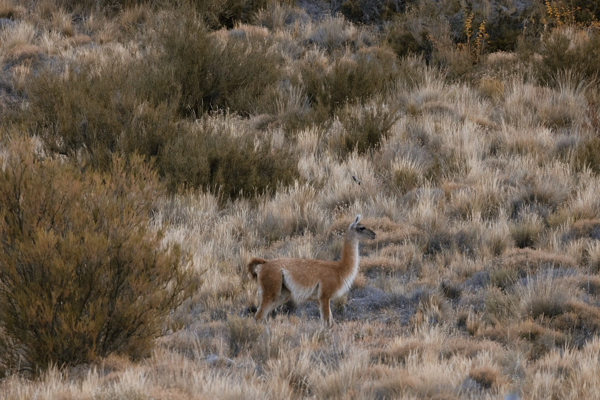 083A1883 Photofield.JPG