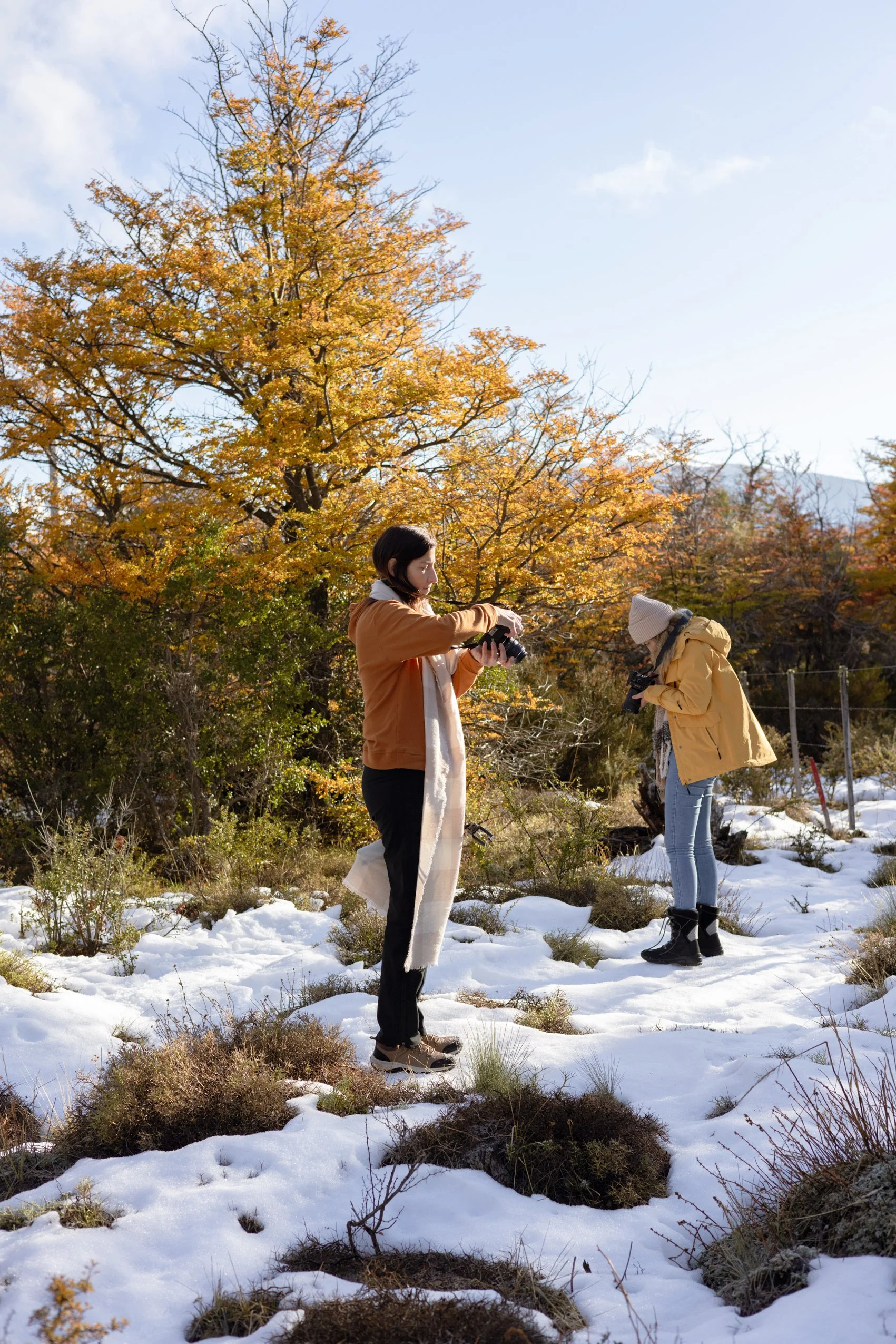 083A1405 Photofield.JPG