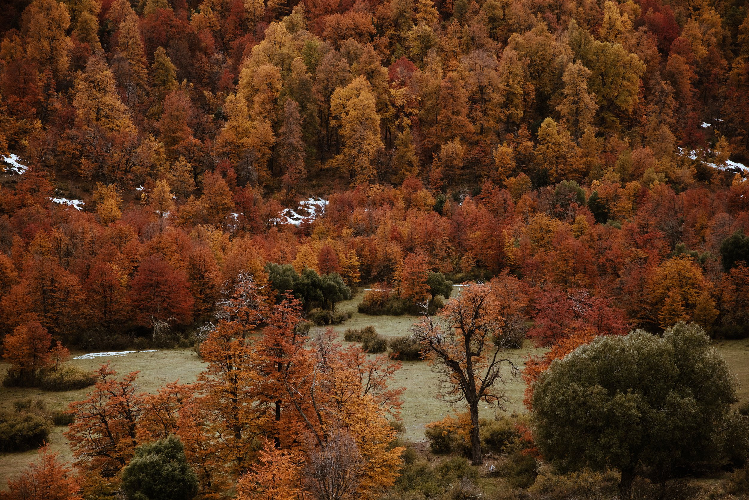 4M5A3758-2 Photofield.jpg