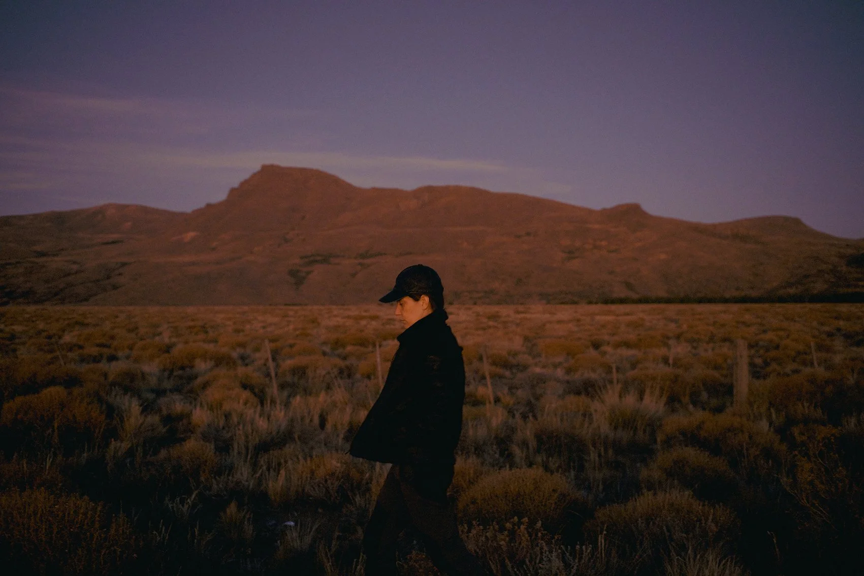 4M5A1914 Photofield 2.jpg