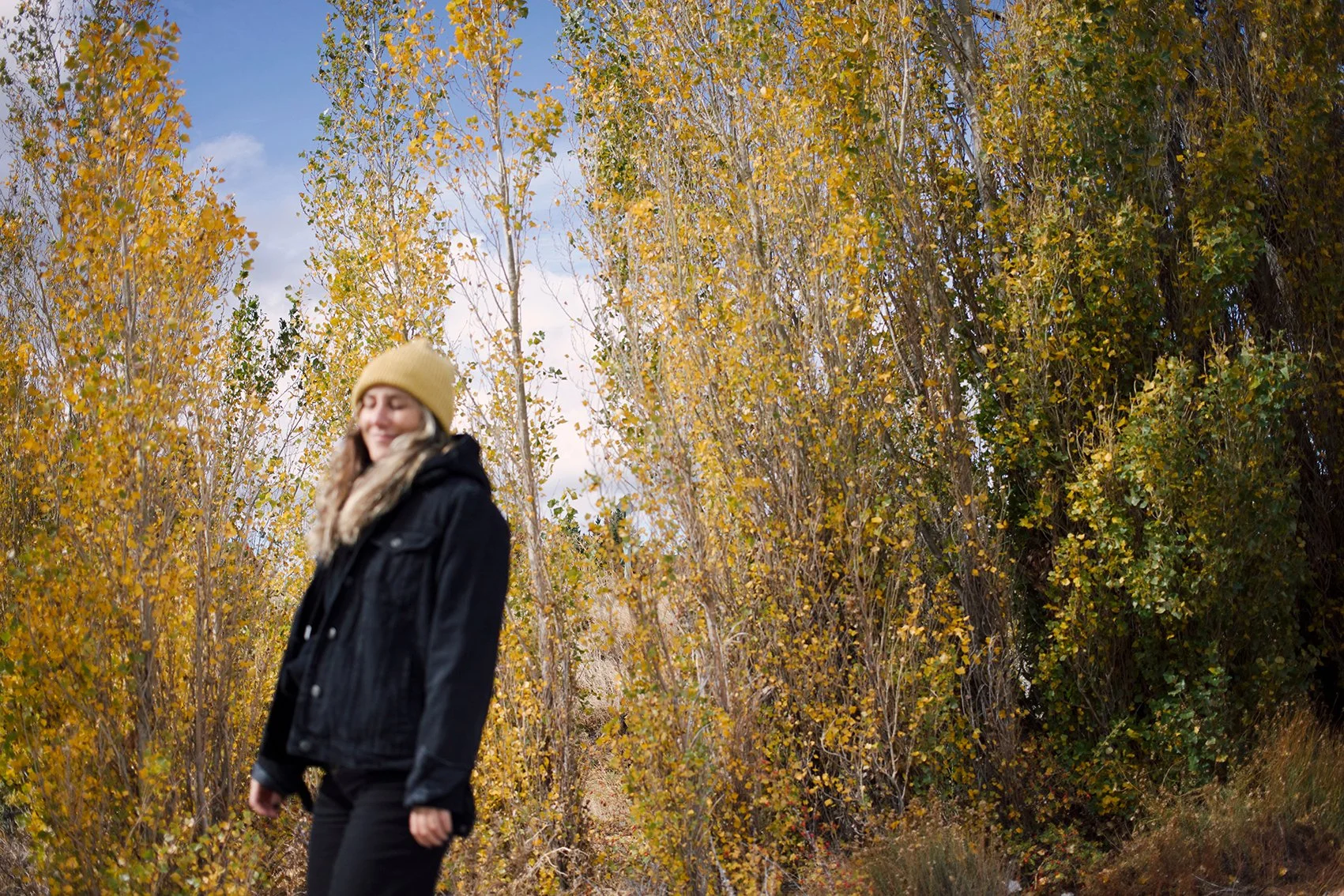 4M5A9728 Photofield.jpg