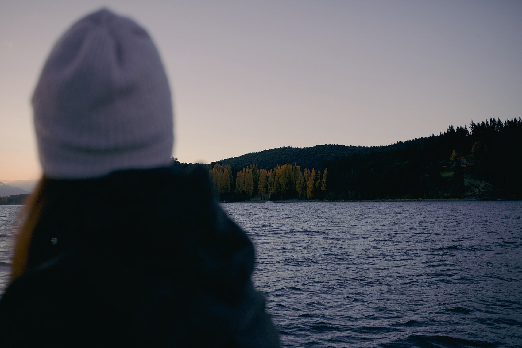 4M5A9929 Photofield.jpg