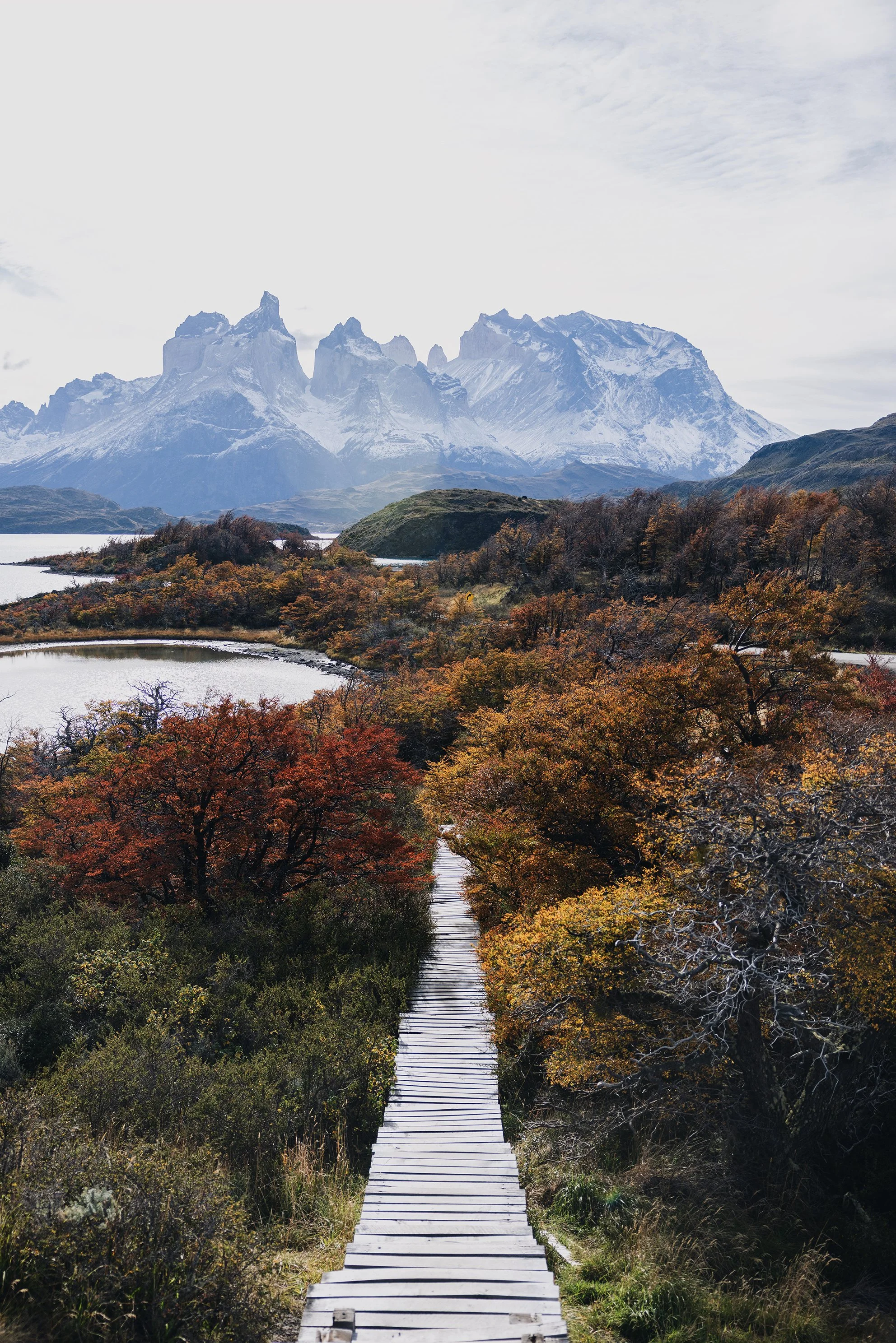 Copia de 083A8202_VSCO.jpg