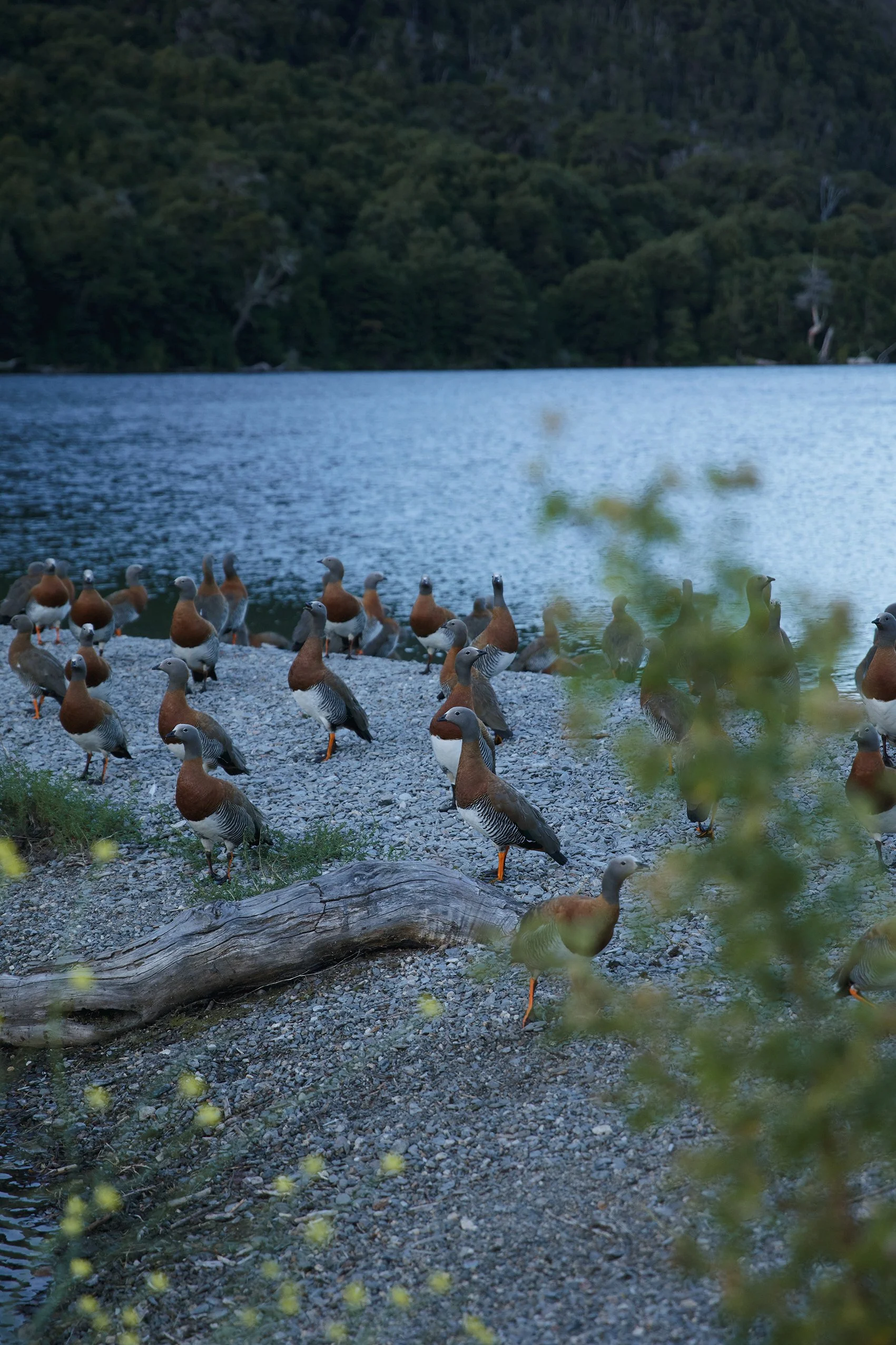 B1E60124-A3D9-49B4-80B4-B6505B83F898 Photofield.jpg