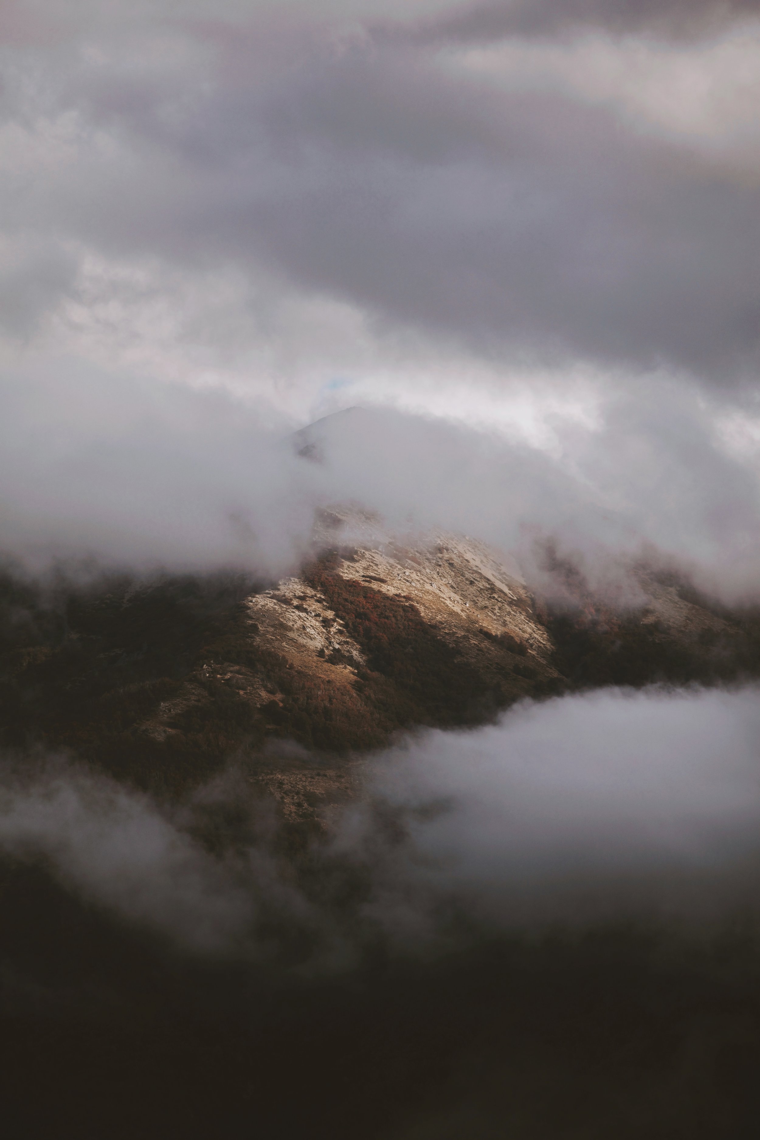 4M5A8891 Photofield (1).jpg