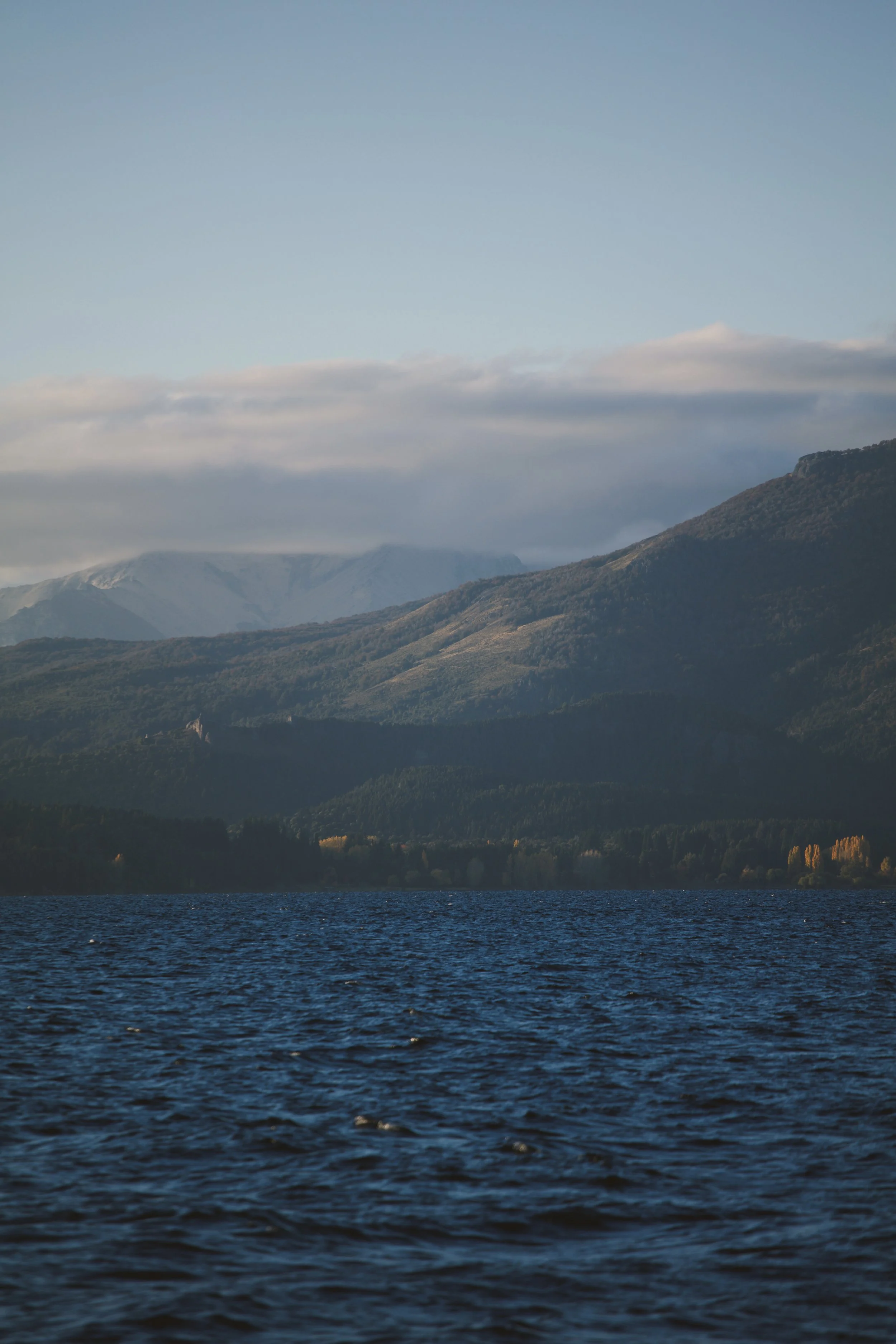 4M5A9882 Photofield.jpg