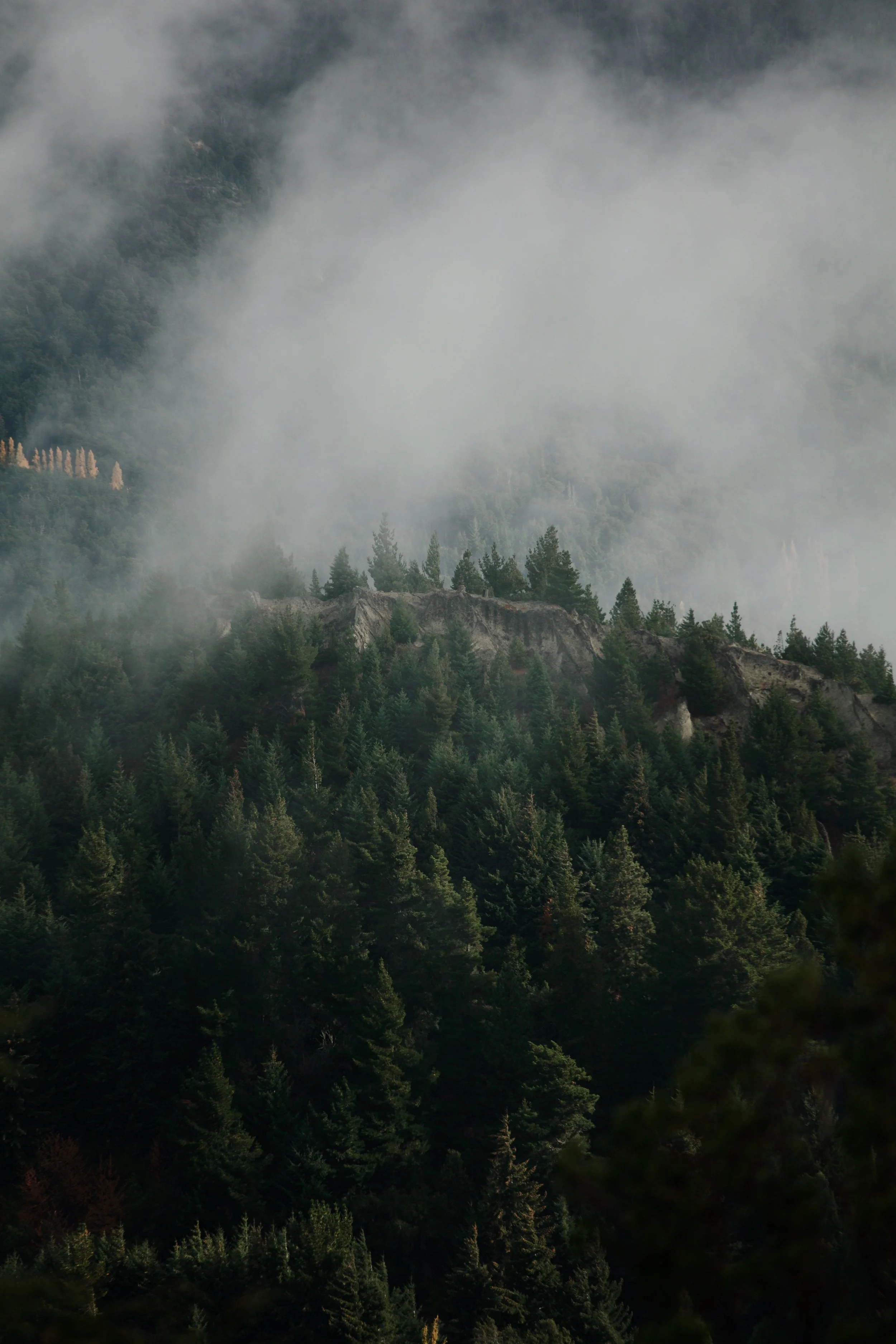 3700B14B-5CE6-4922-A1E8-F5537C3E19D5 Photofield.JPG