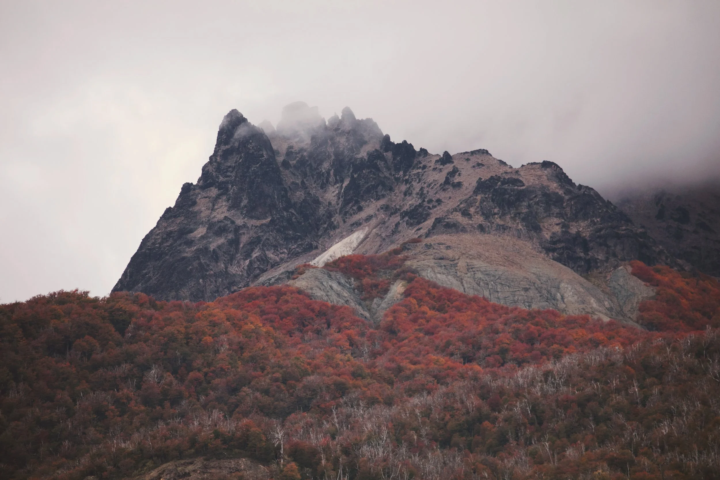 4M5A9413 Photofield.jpg