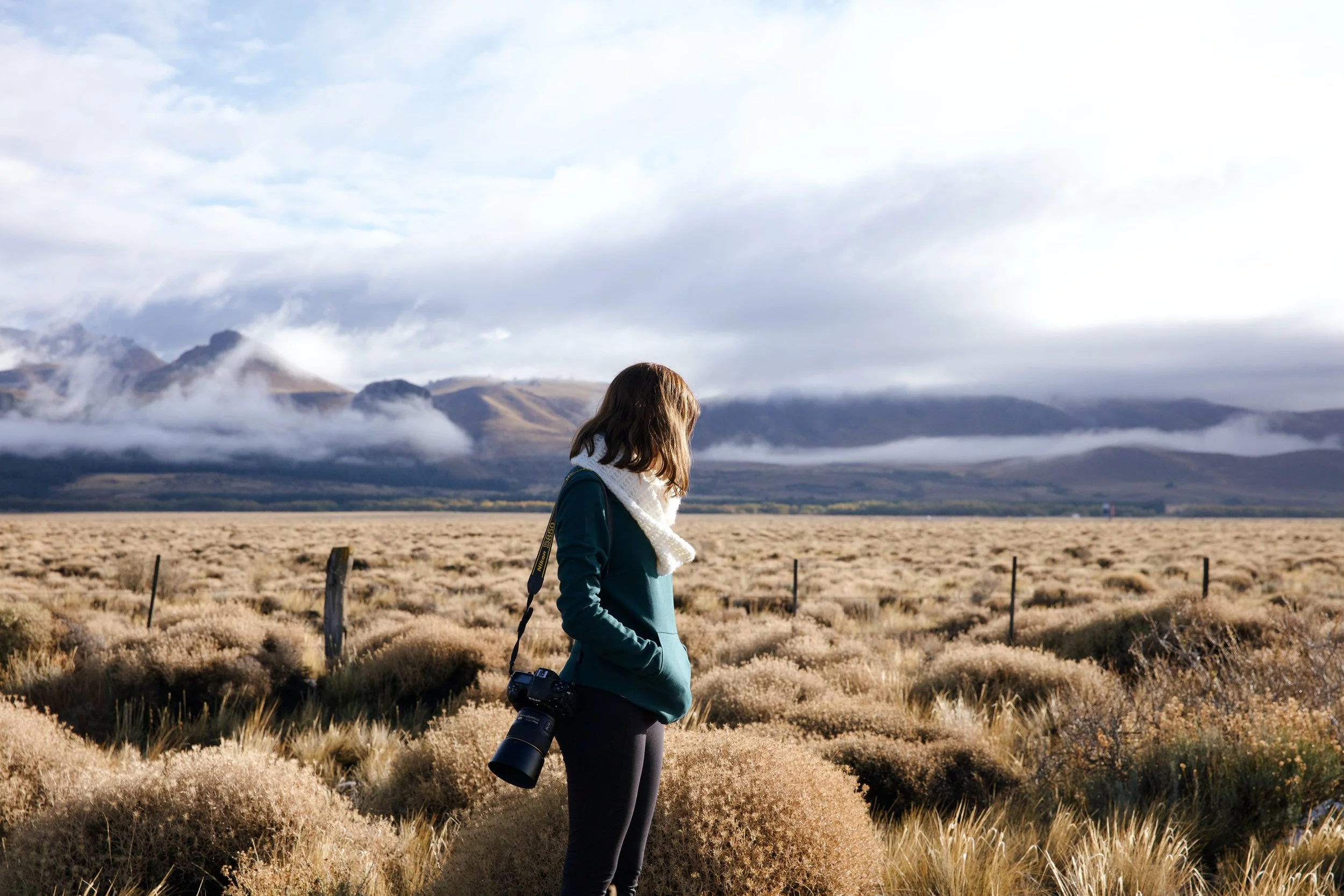 4M5A9015 Photofield.JPG