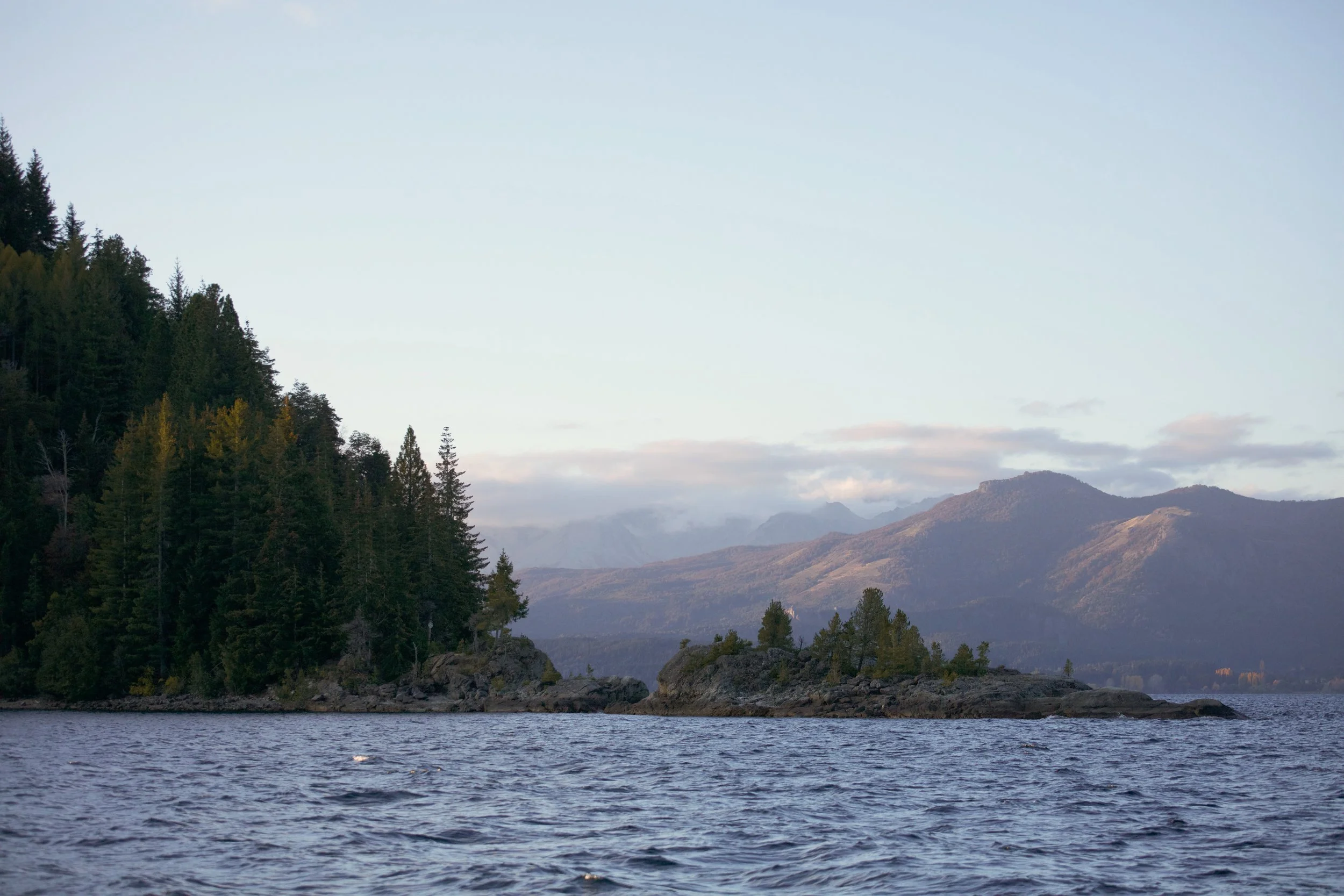 4M5A9912 Photofield.jpg