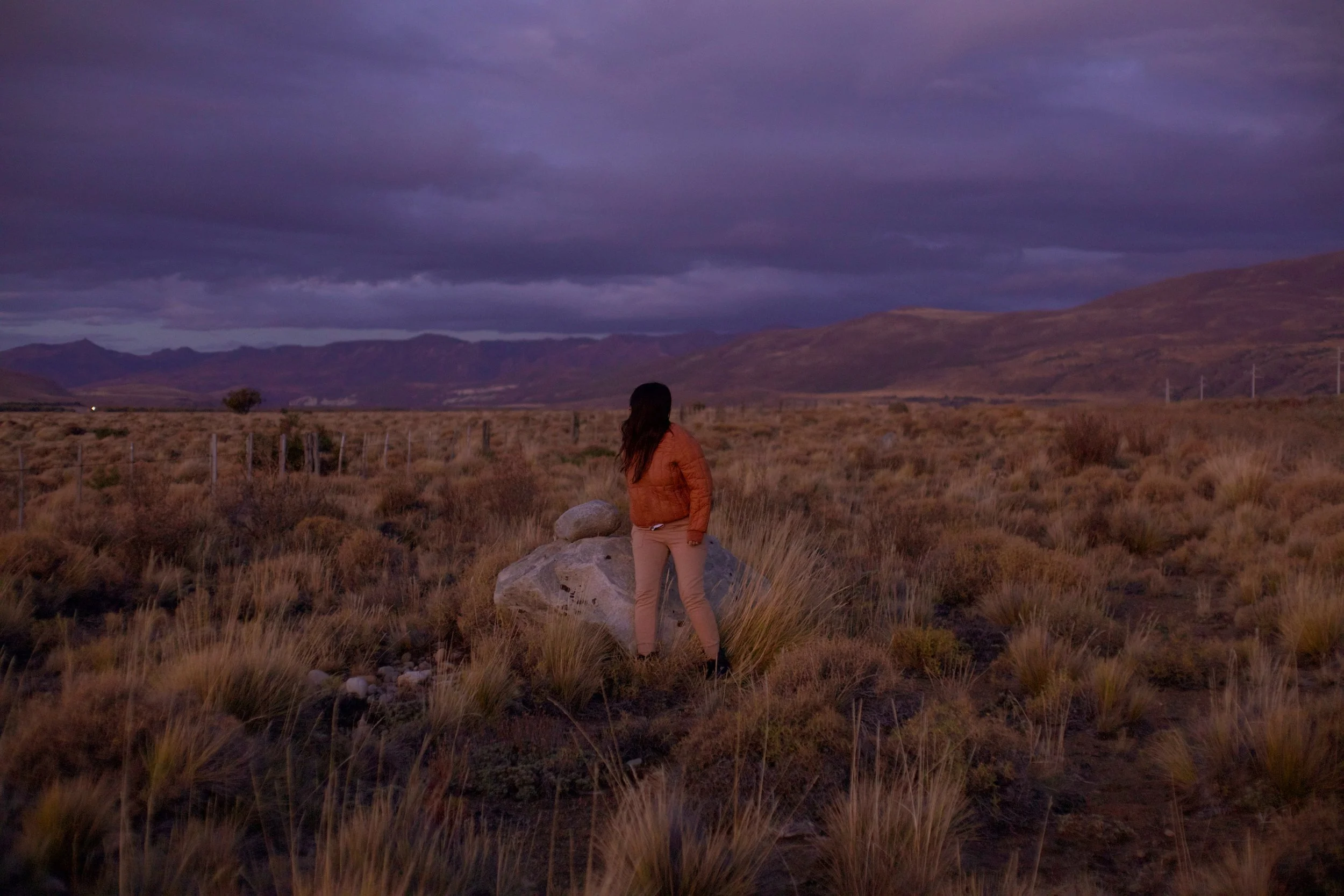 4M5A9542 Photofield.jpg