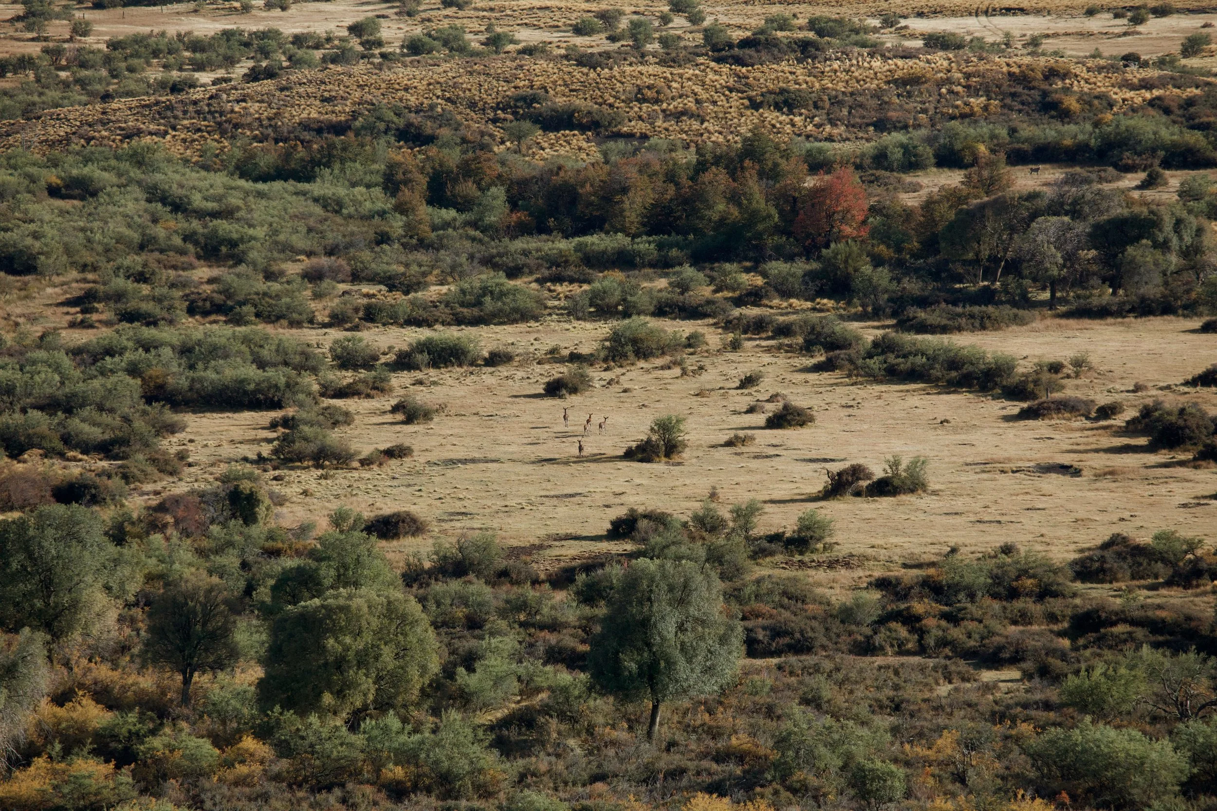 4M5A9083 Photofield.jpg