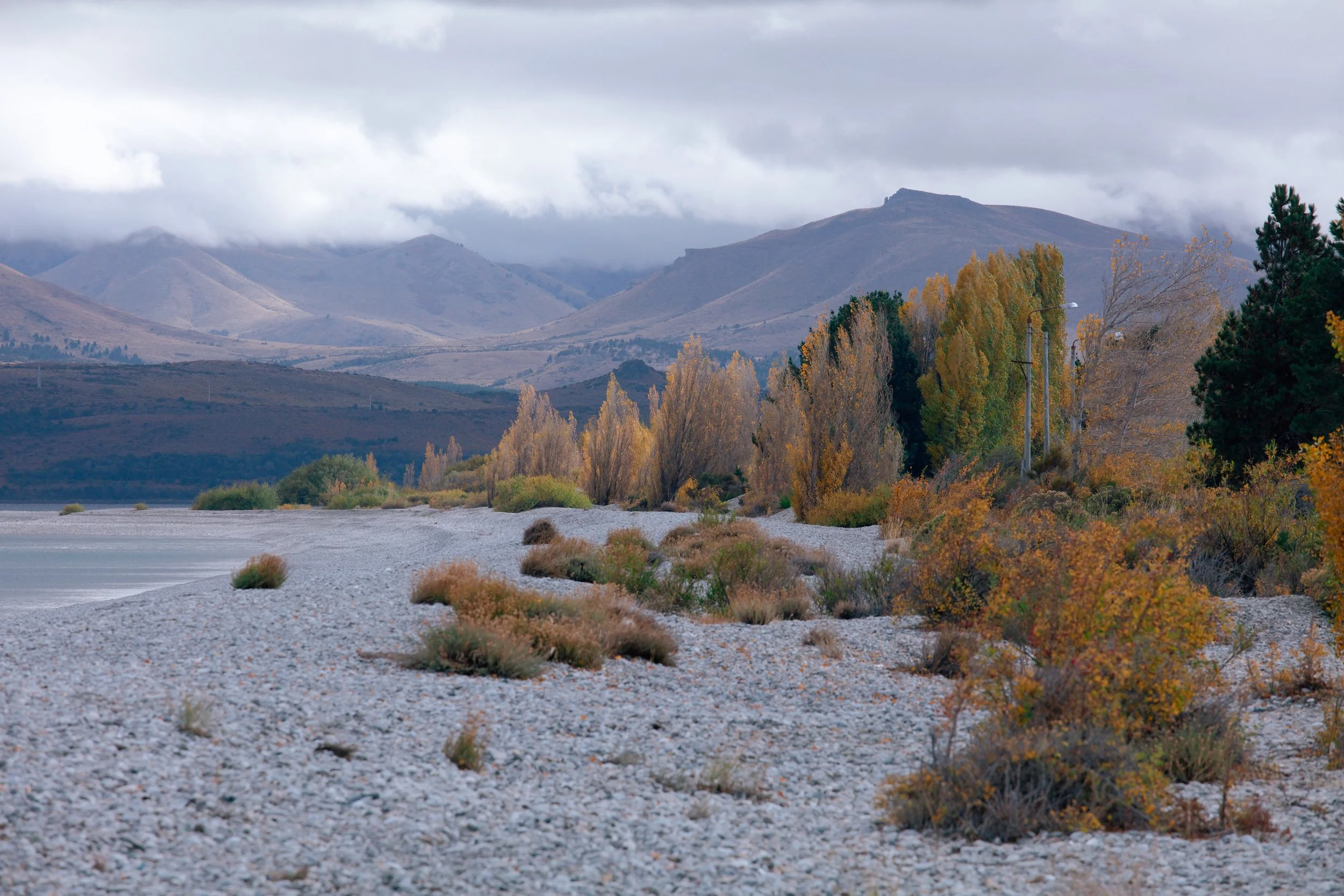 4M5A9620 Photofield.jpg