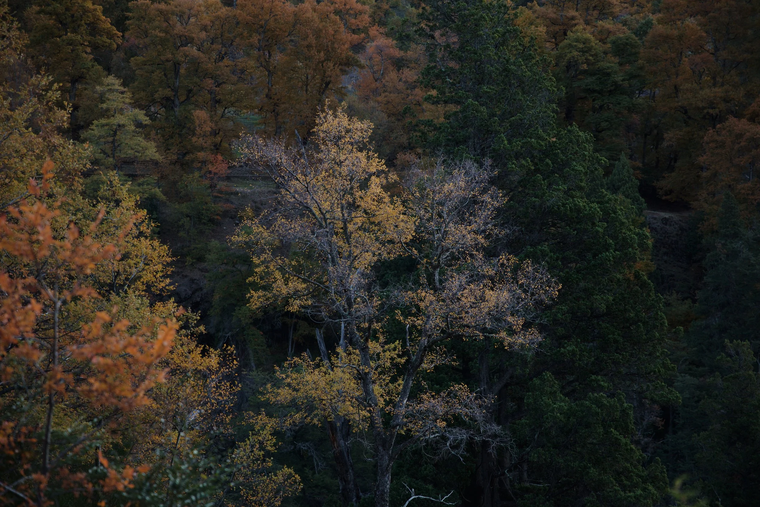 PATAGONIA ARGENTINA - La naturaleza que habita en mi / 2023 - EDICIÓN 3