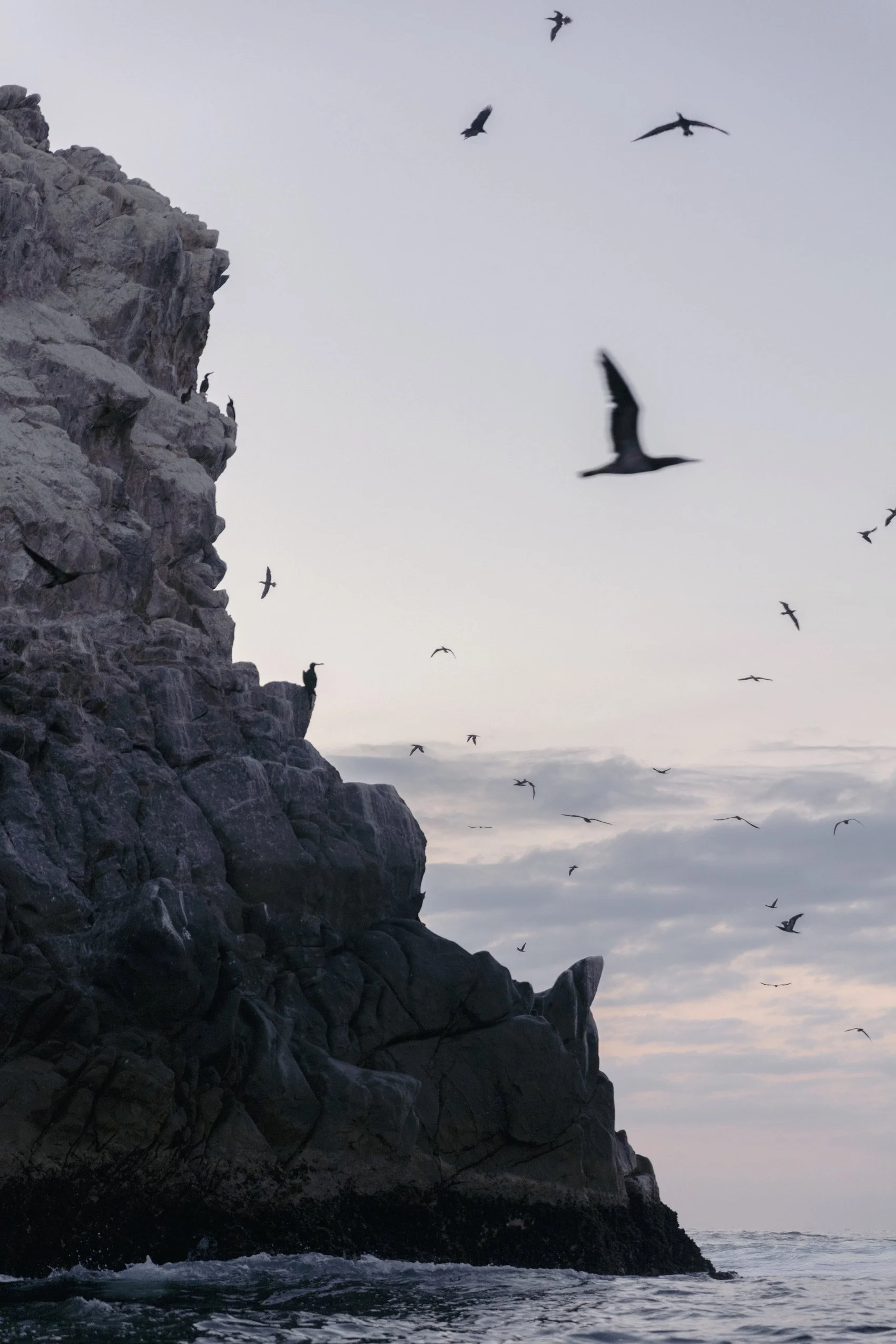 4M5A5979 Photofield.JPG