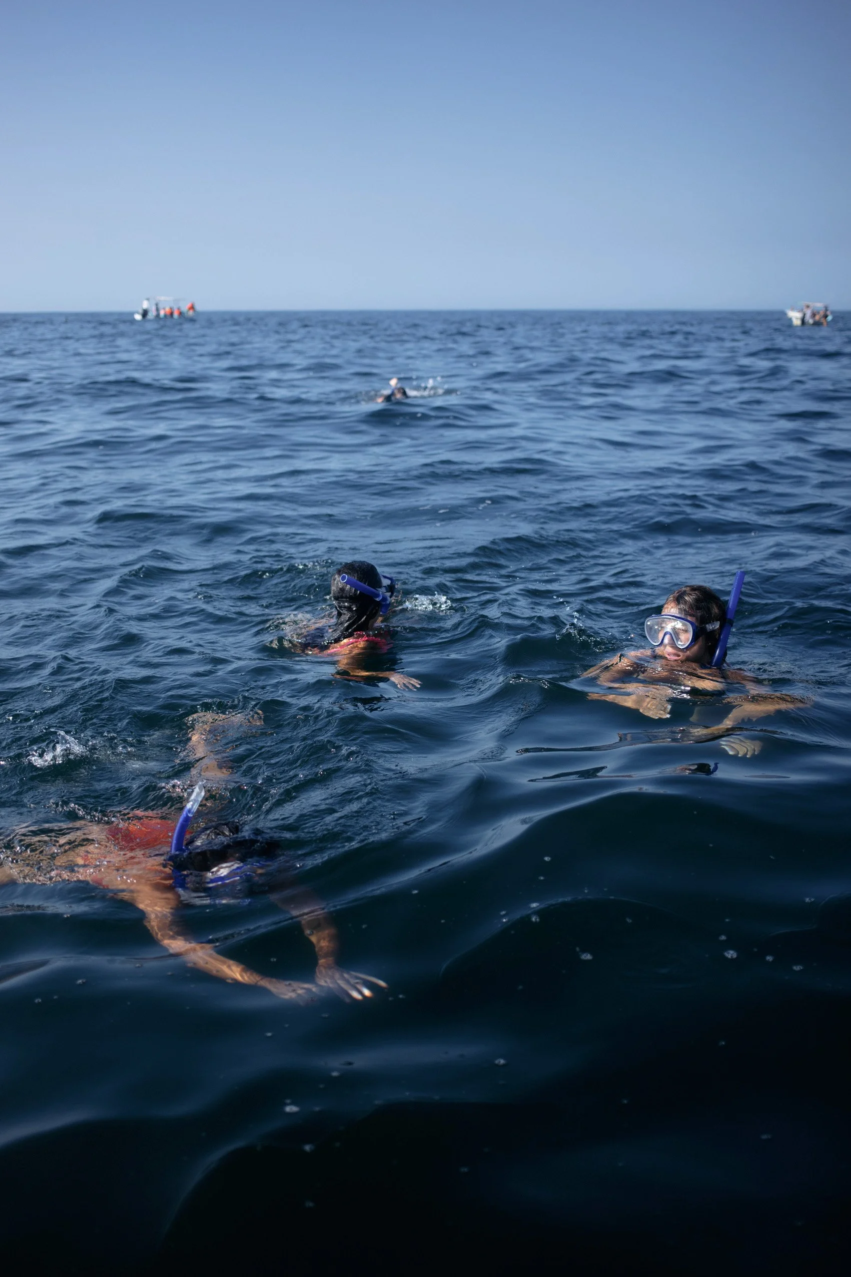 4M5A6285 Photofield.JPG